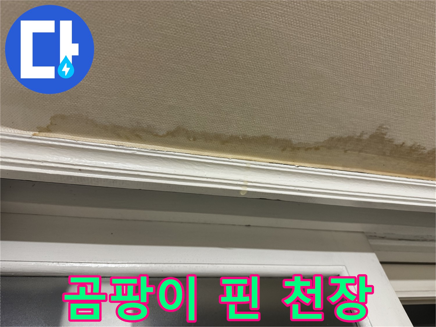 곰팡이로 뒤덮인 천장 - 누수의 심각성을 보여주며 - 건강에 미치는 악영향을 강조합니다.