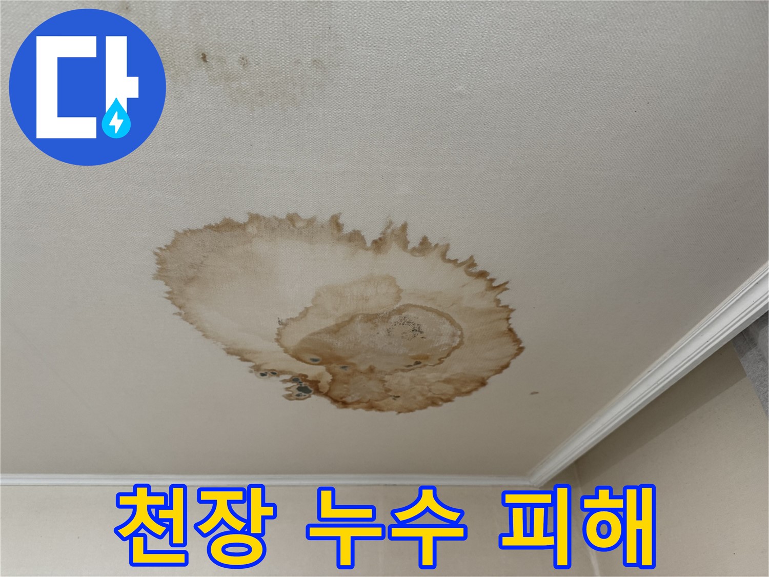 서대문구 세검정로 누수 - 누수로 인해 변색된 천장
