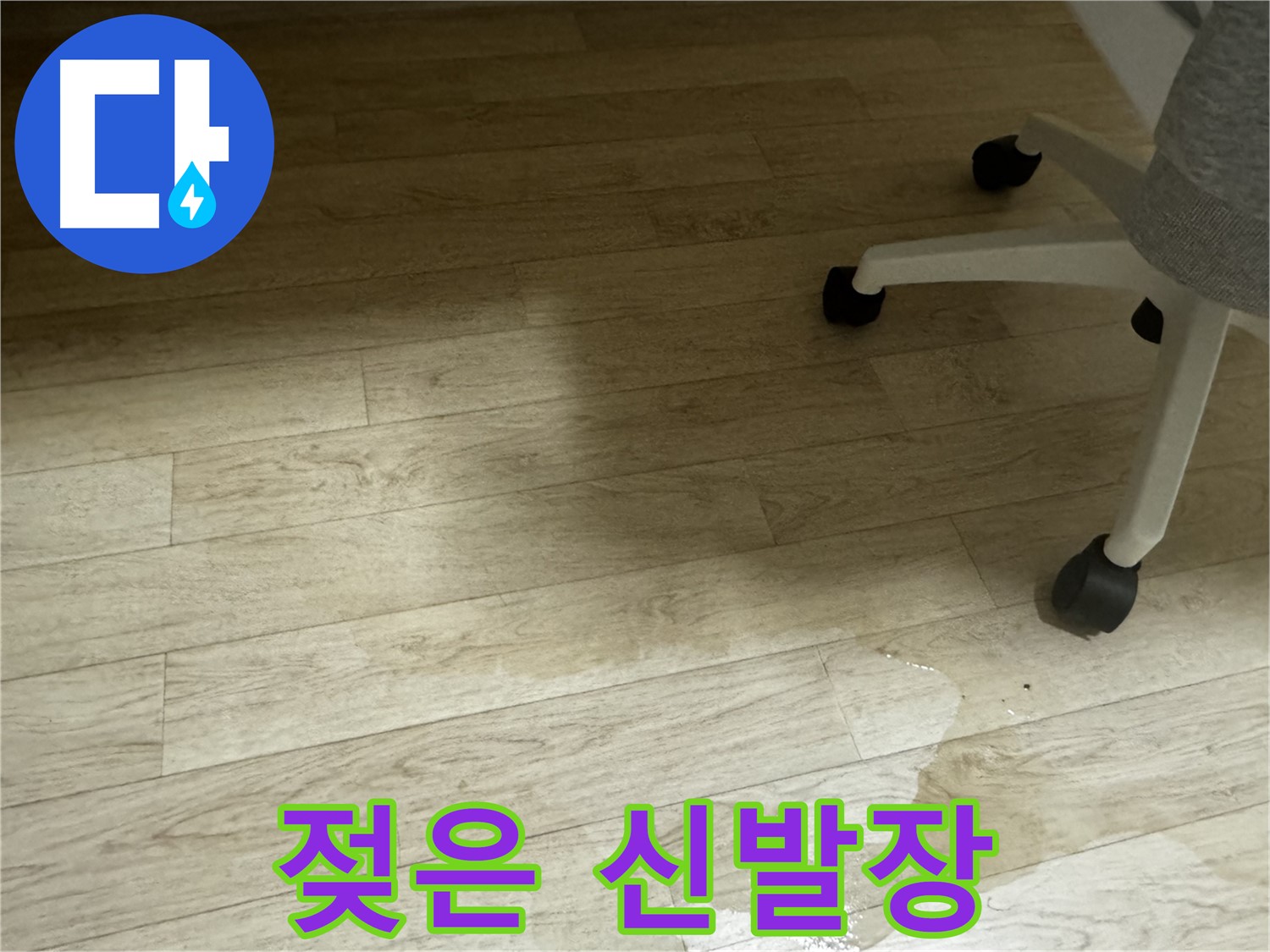 신발장 바닥이 젖어 있는 모습 - 신발에 곰팡이가 생길 수 있습니다.