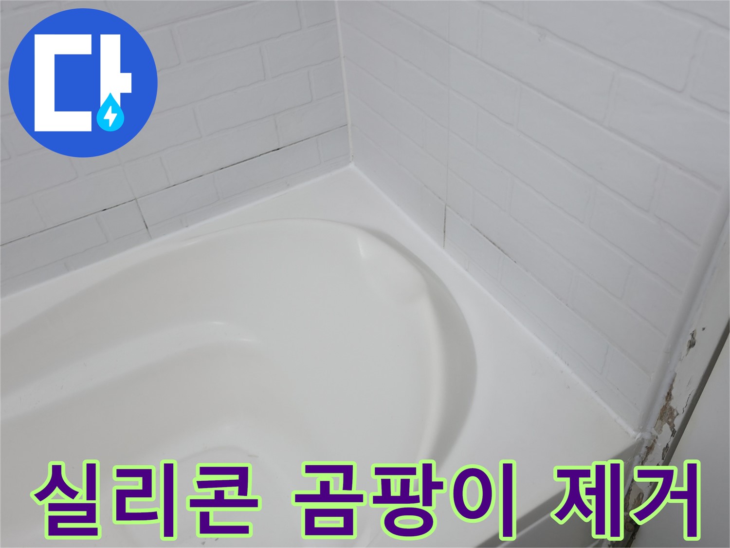 실리콘 - 곰팡이와의 전쟁