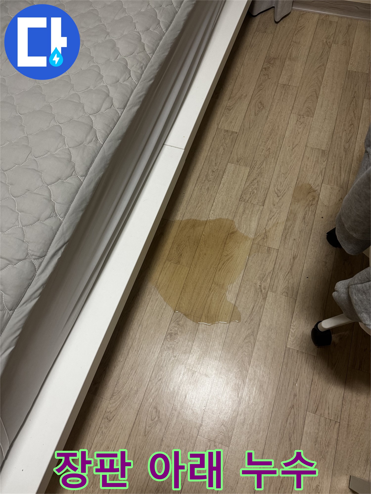 장판 아래 물이 고여있는 모습 - 습기와 곰팡이 발생 우려가 있습니다.
