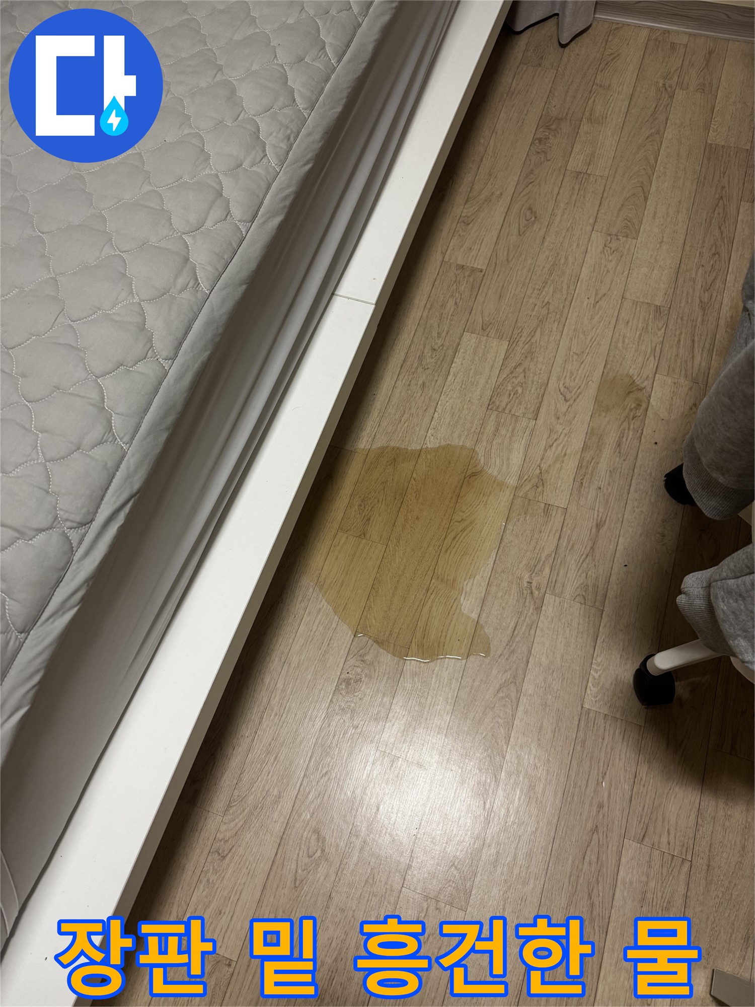 장판 아래 물이 흥건한 모습 - 곰팡이 발생 위험이 높습니다.
