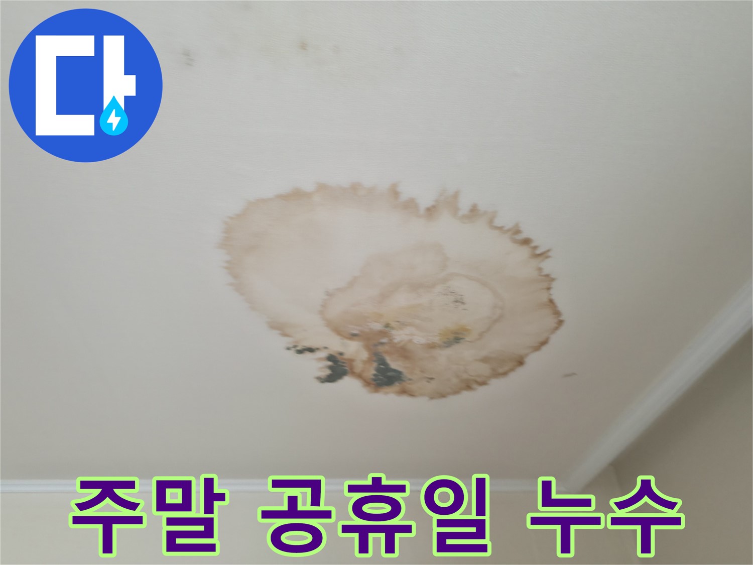 주말/공휴일 긴급 누수 - 서대문구 북가좌동 - 빠른 해결
