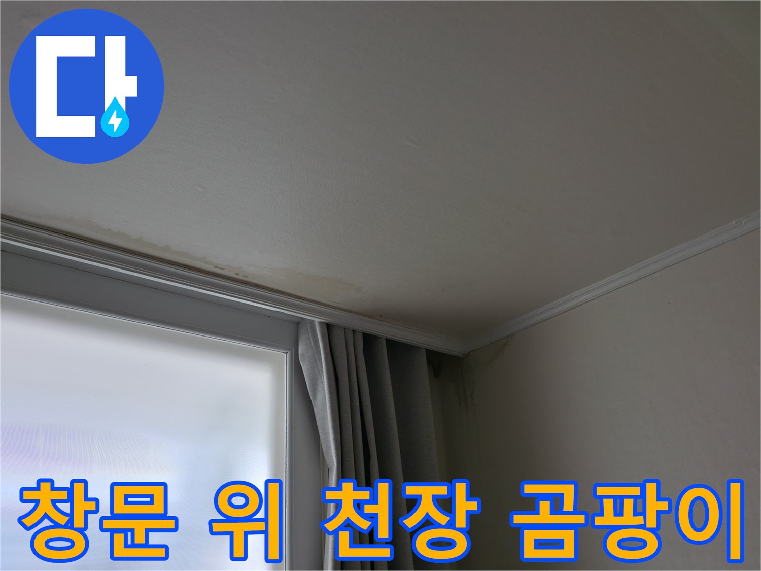 창문 위 천장 곰팡이 - 곰팡이 제거 후 재발 방지 대책은?