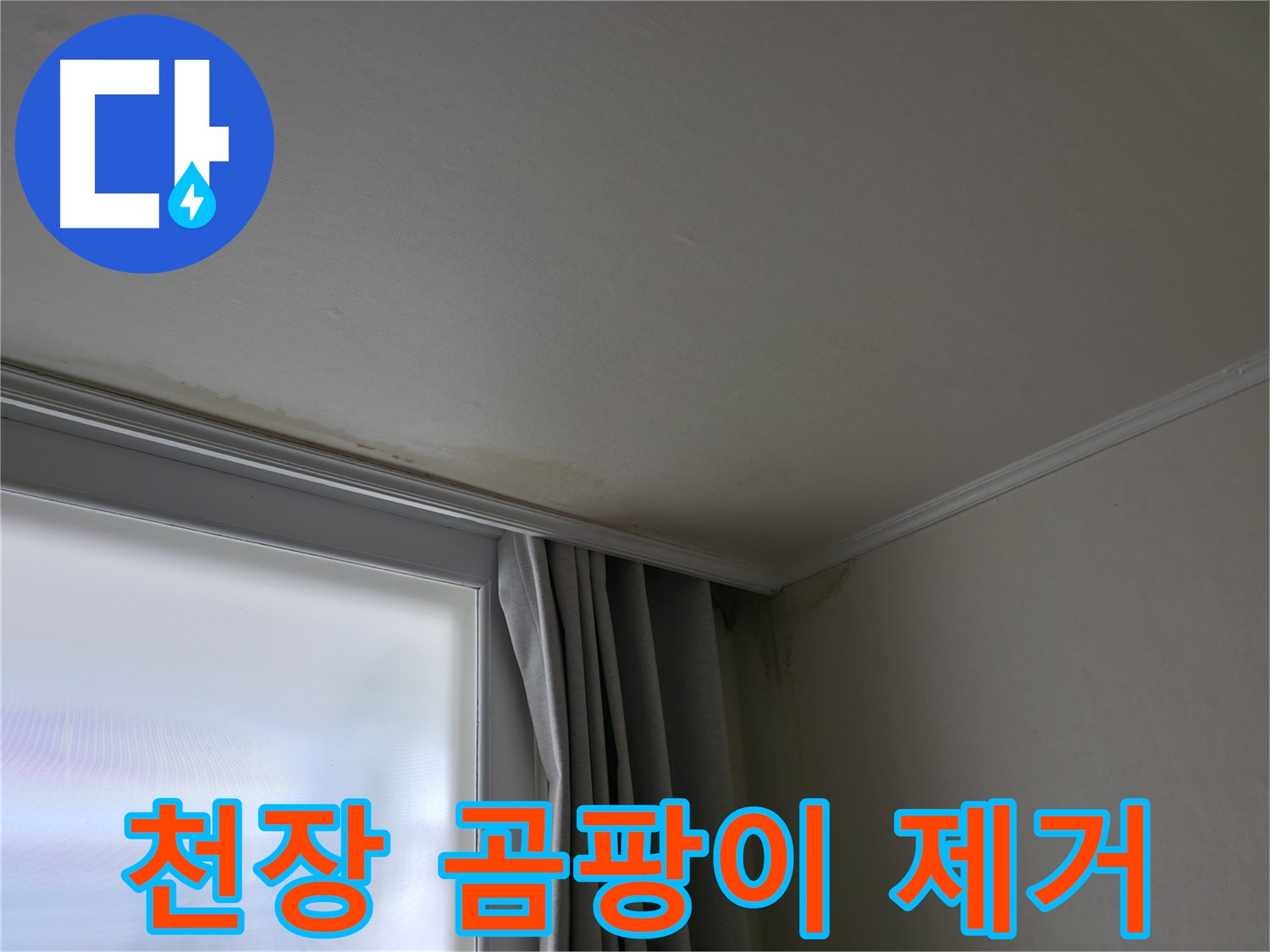 천장 곰팡이 - 누수 해결 후 쾌적한 환경