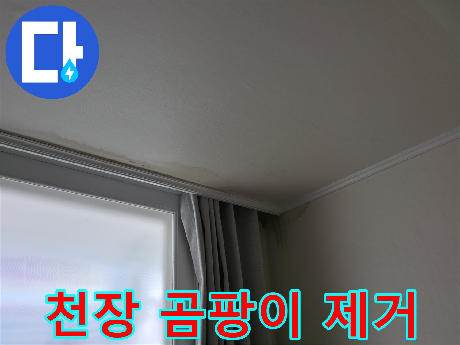 천장 곰팡이 - 누수 해결 후 쾌적한 환경
