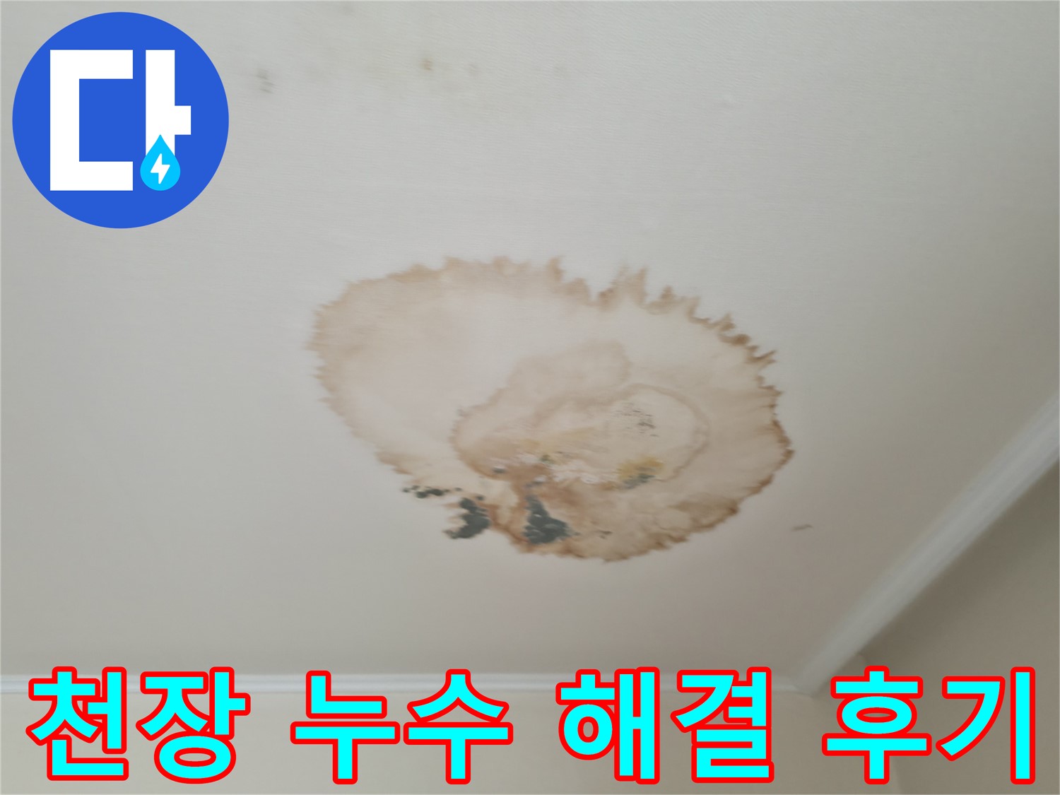 천장 누수 해결 - 고객 만족 후기 - 서대문구 누수 업체