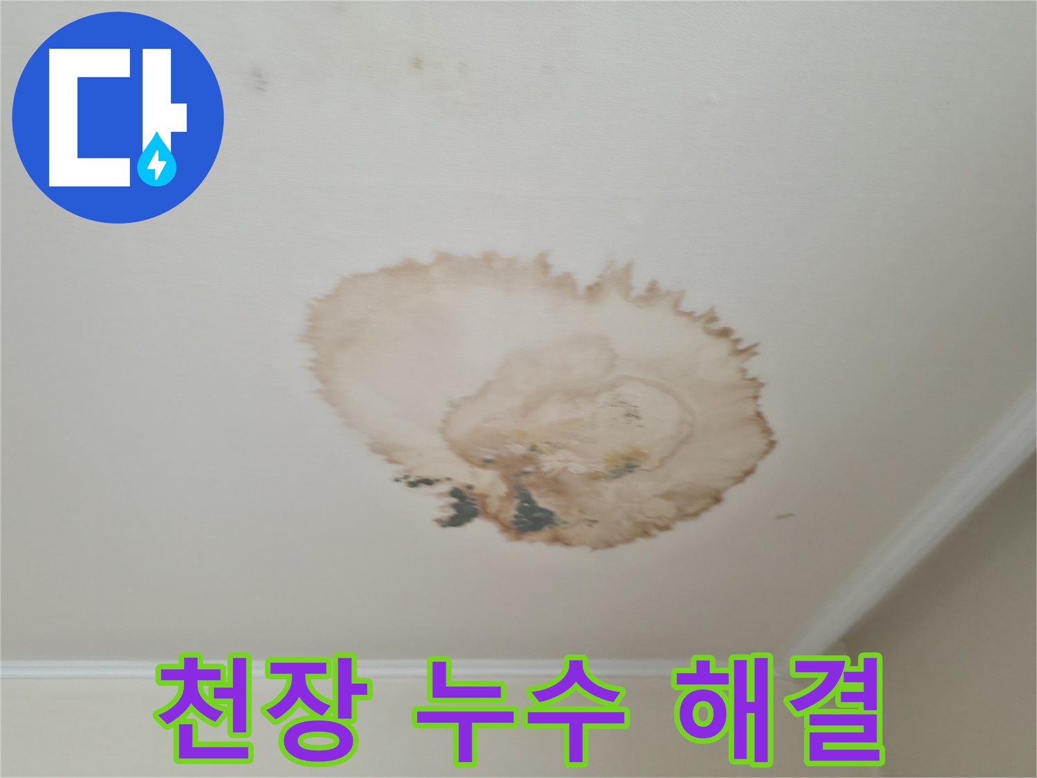 천장 누수 해결 - 누수 흔적 제거 - 깨끗하고 안전한 공간