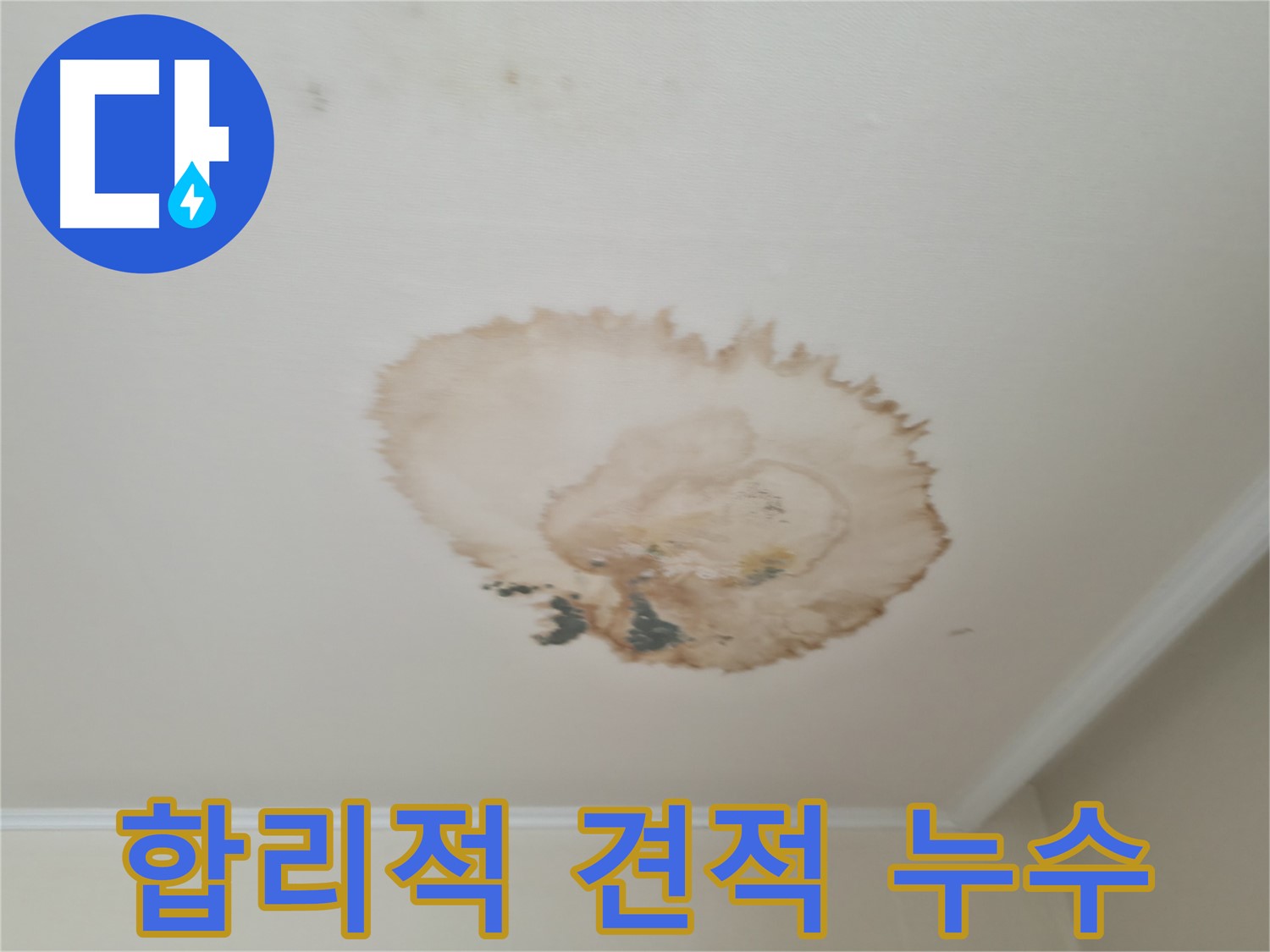 합리적인 견적 - 천장 누수 해결 - 서대문구 세검정로