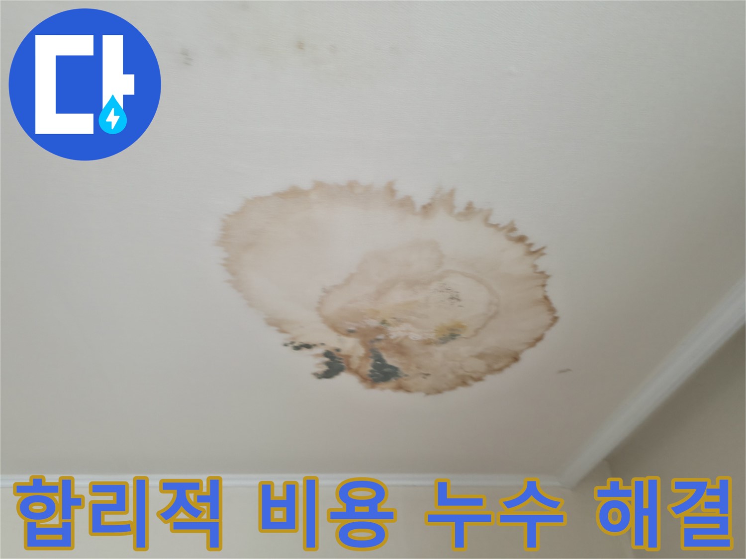 합리적인 비용 - 천장 누수 해결 - 서대문구 누수탐지