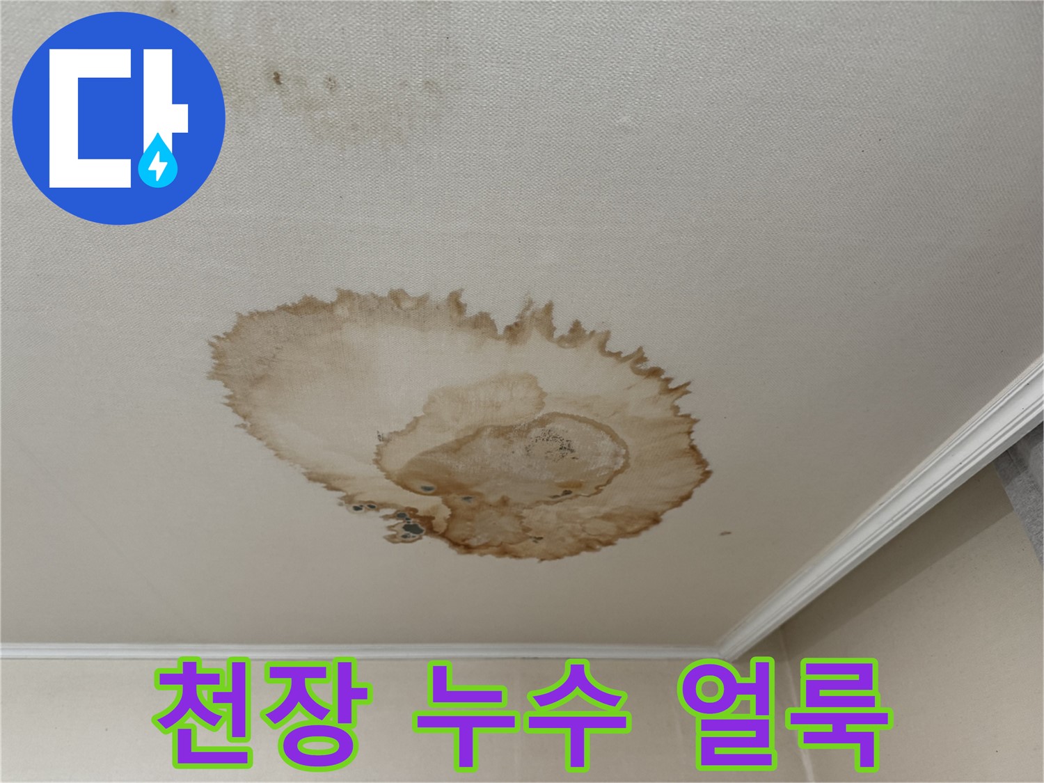 홍제동에서 발생한 천장 누수 - 멈추지 않는 누수로 인한 천장 얼룩