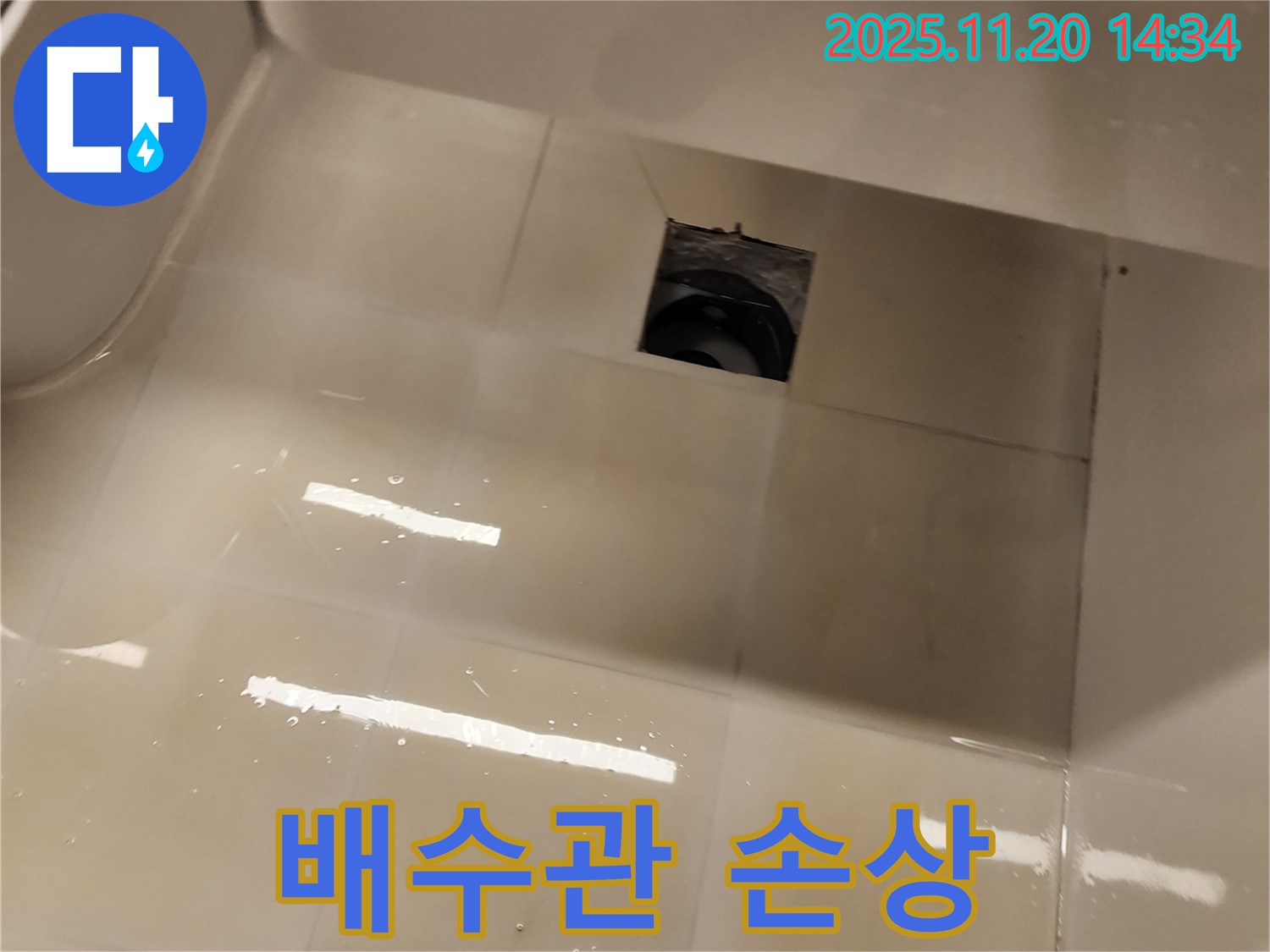 샤워 트레이 배수구 - 배수관 손상 여부를 확인하고 있습니다.