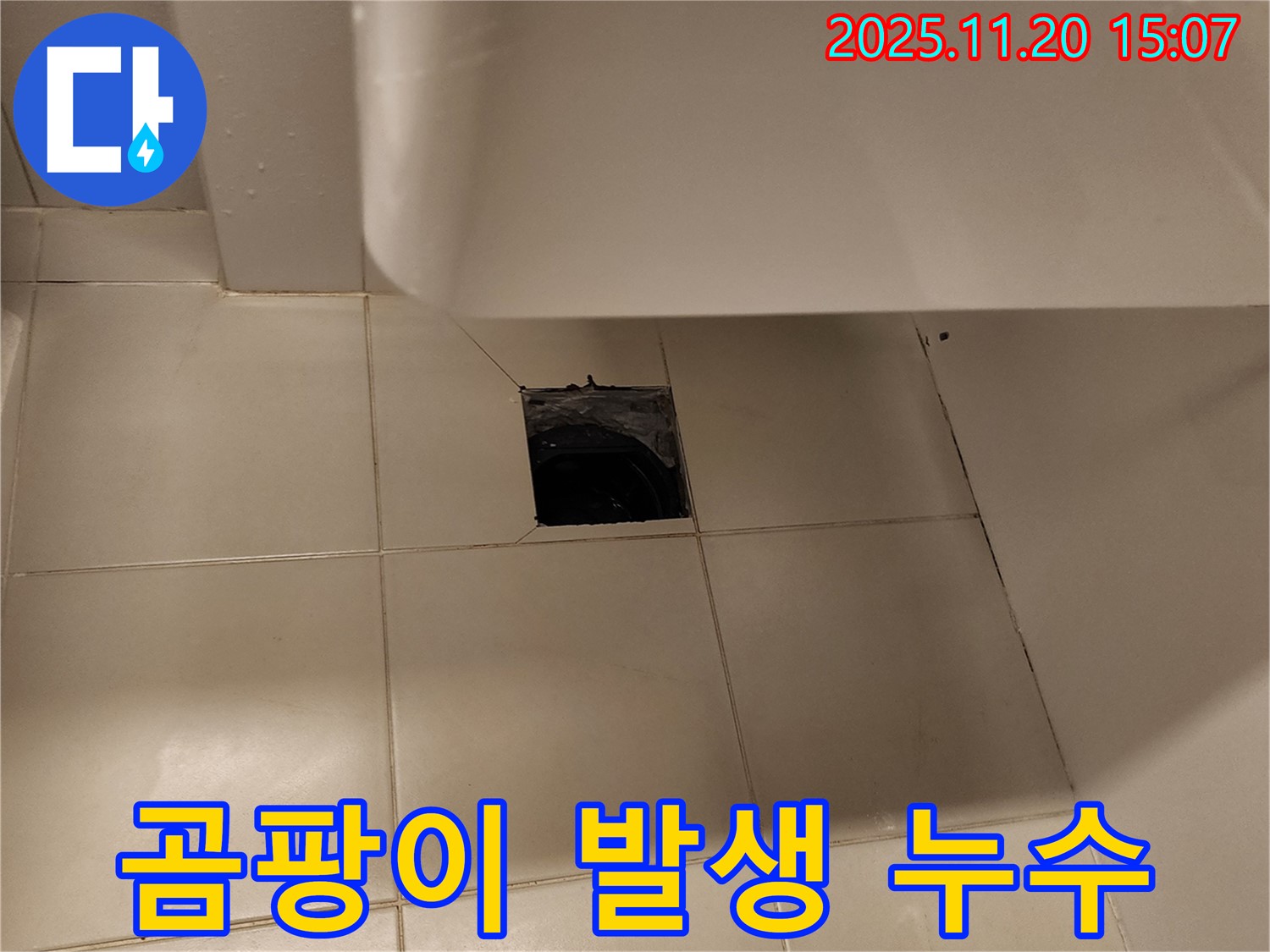 세면대 바닥 배수구 주변 곰팡이 발생으로 인한 누수 의심 - 포천 가산면 누수 전문 업체에서 곰팡이 제거 및 누수 원인 진단