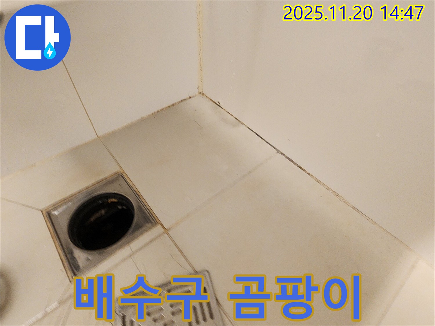 포천 가산 욕실 배수구 - 배수구 주변 타일 틈새에 곰팡이가 발생하여 누수 원인을 분석합니다.