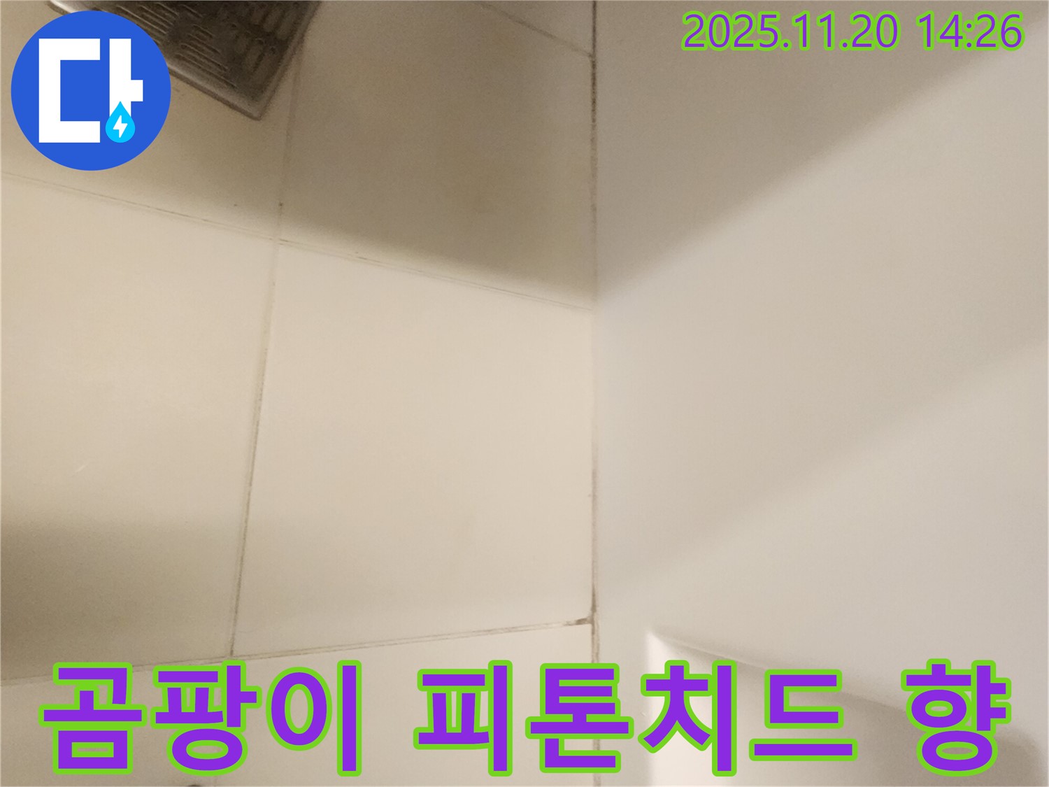 포천 가산면 - 곰팡이 제거 후, 향긋한 피톤치드 향으로 상쾌하게 마무리!