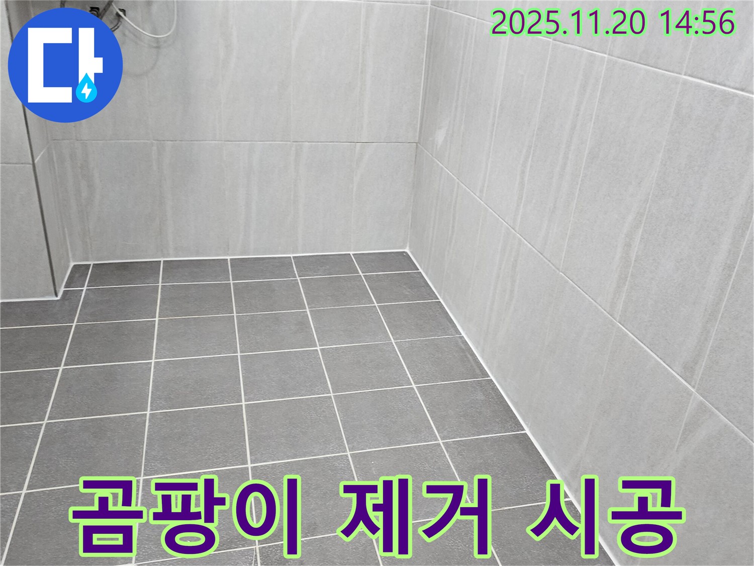 포천 가산면 누수 - 욕실 벽면 타일 곰팡이, 친환경 약품으로 안전하게 제거