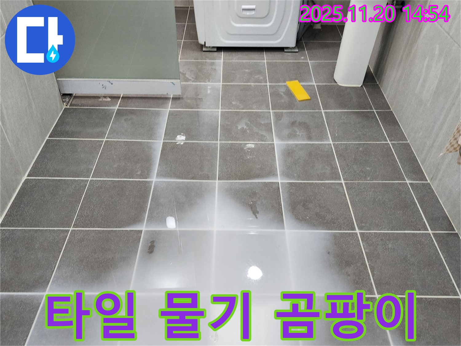 포천 마산리 욕실 - 타일 물기, 곰팡이, 백시멘트 손상 - 누수 징후 정밀 검사