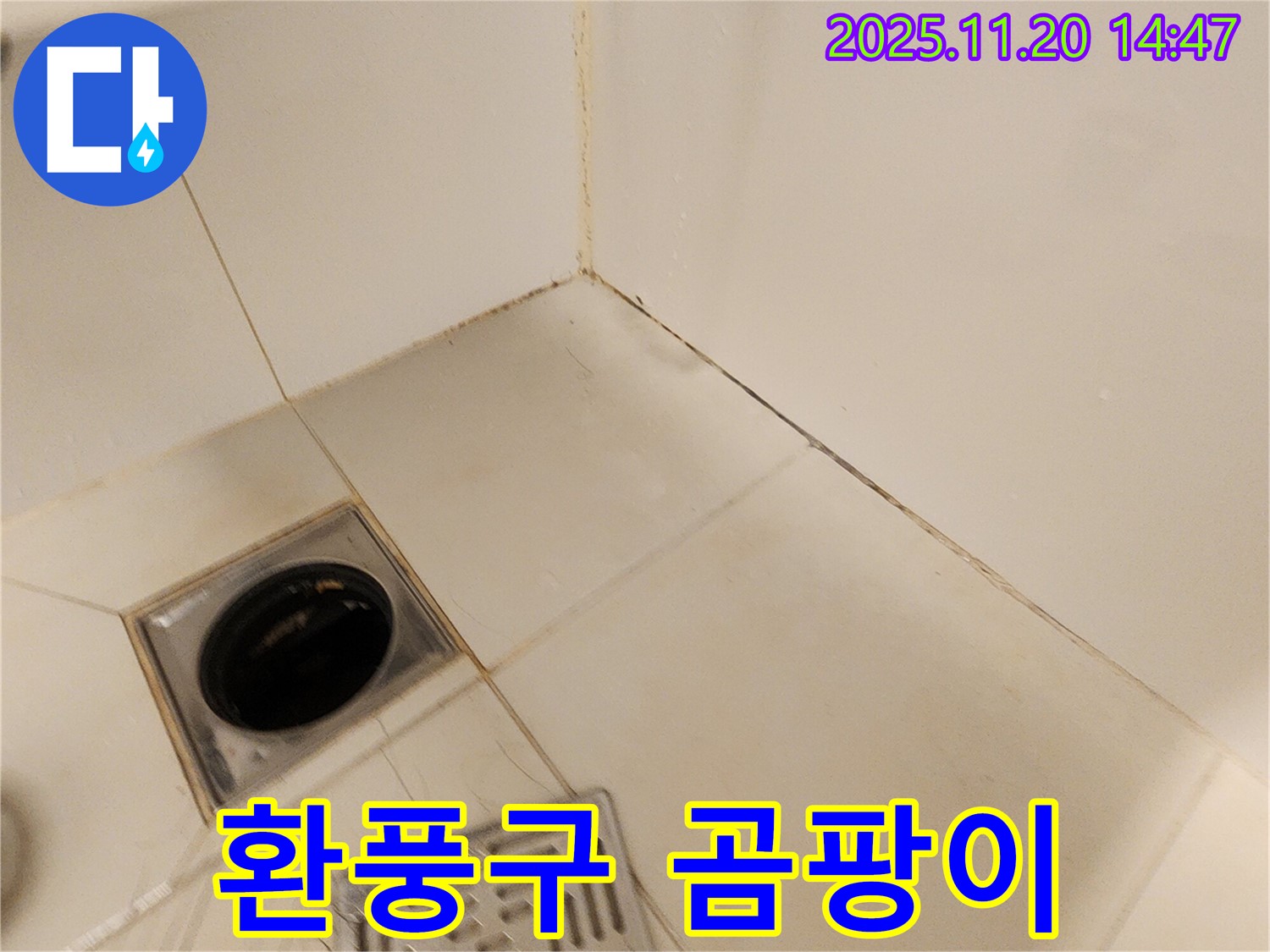 포천 마산리 욕실 환풍구 - 욕실 환풍구 주변에 곰팡이가 피어있고 누수 흔적이 의심되어 점검합니다.