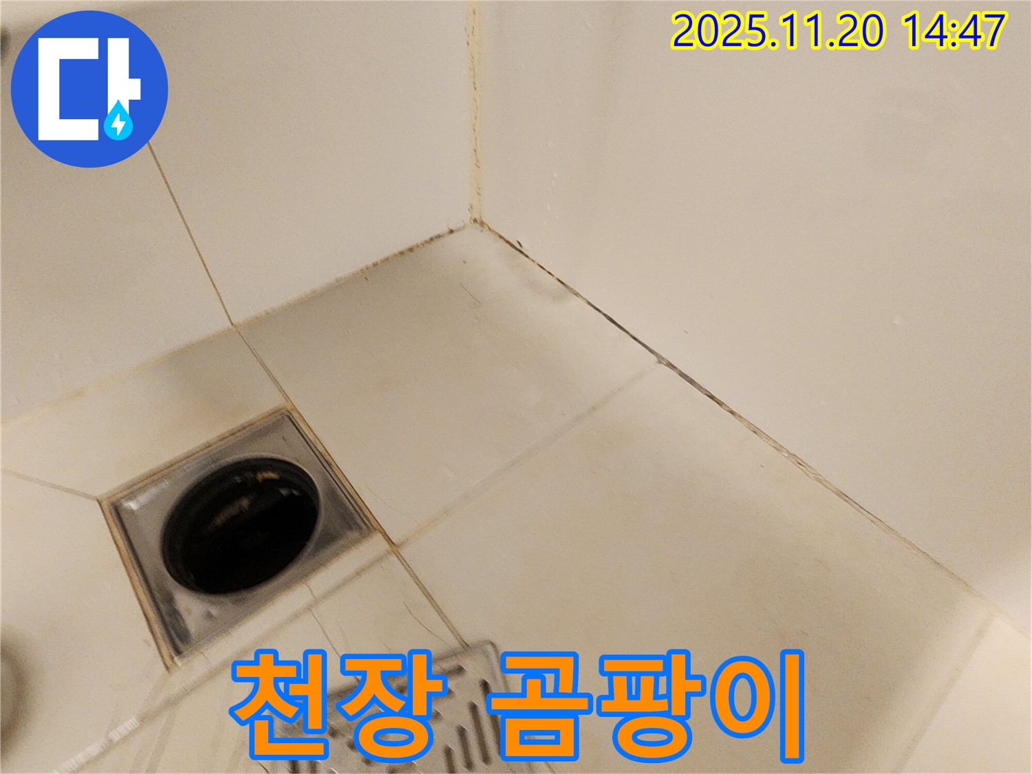 포천 욕실 천장 곰팡이 - 욕실 천장에 곰팡이가 핀 모습입니다.