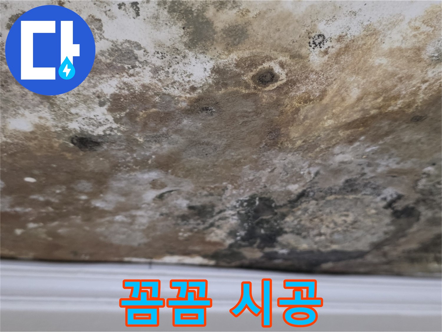 곰팡이 천장 - 꼼꼼한 시공으로 완벽하게 마무리합니다