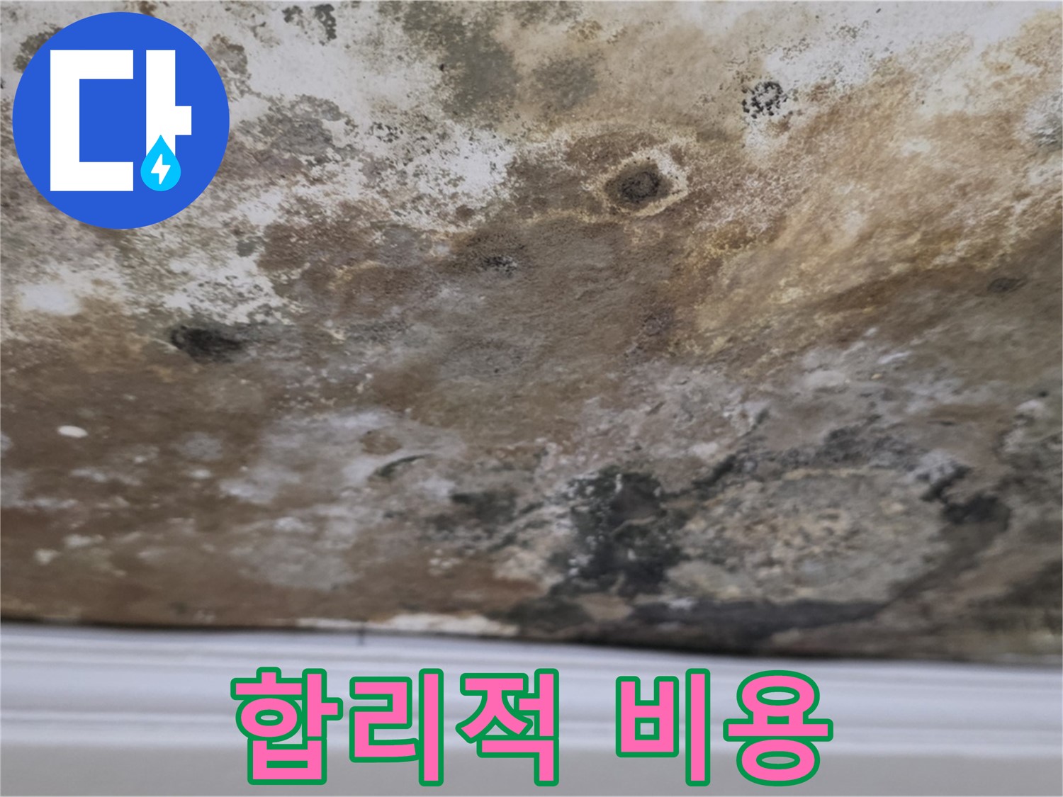 곰팡이 천장 - 합리적인 비용으로 누수 해결 가능합니다