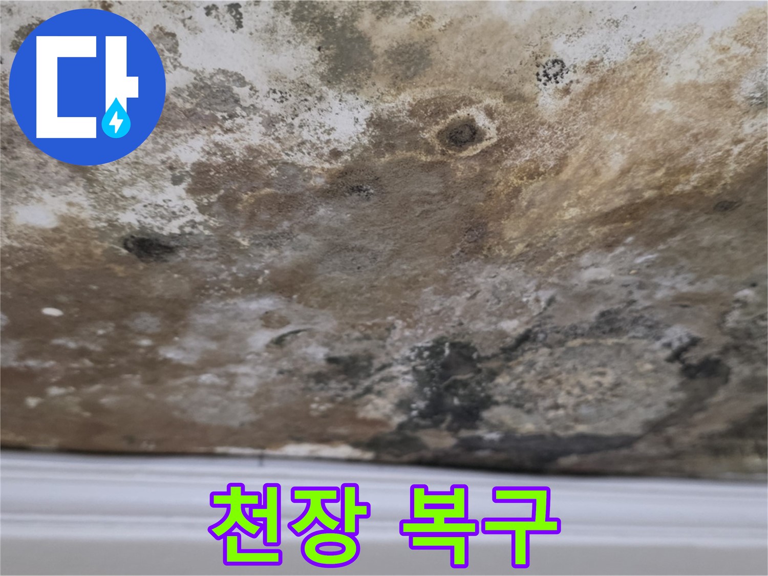 누수와 곰팡이 제거 후 복구된 천장 - 깨끗하게 복구된 천장의 모습입니다.