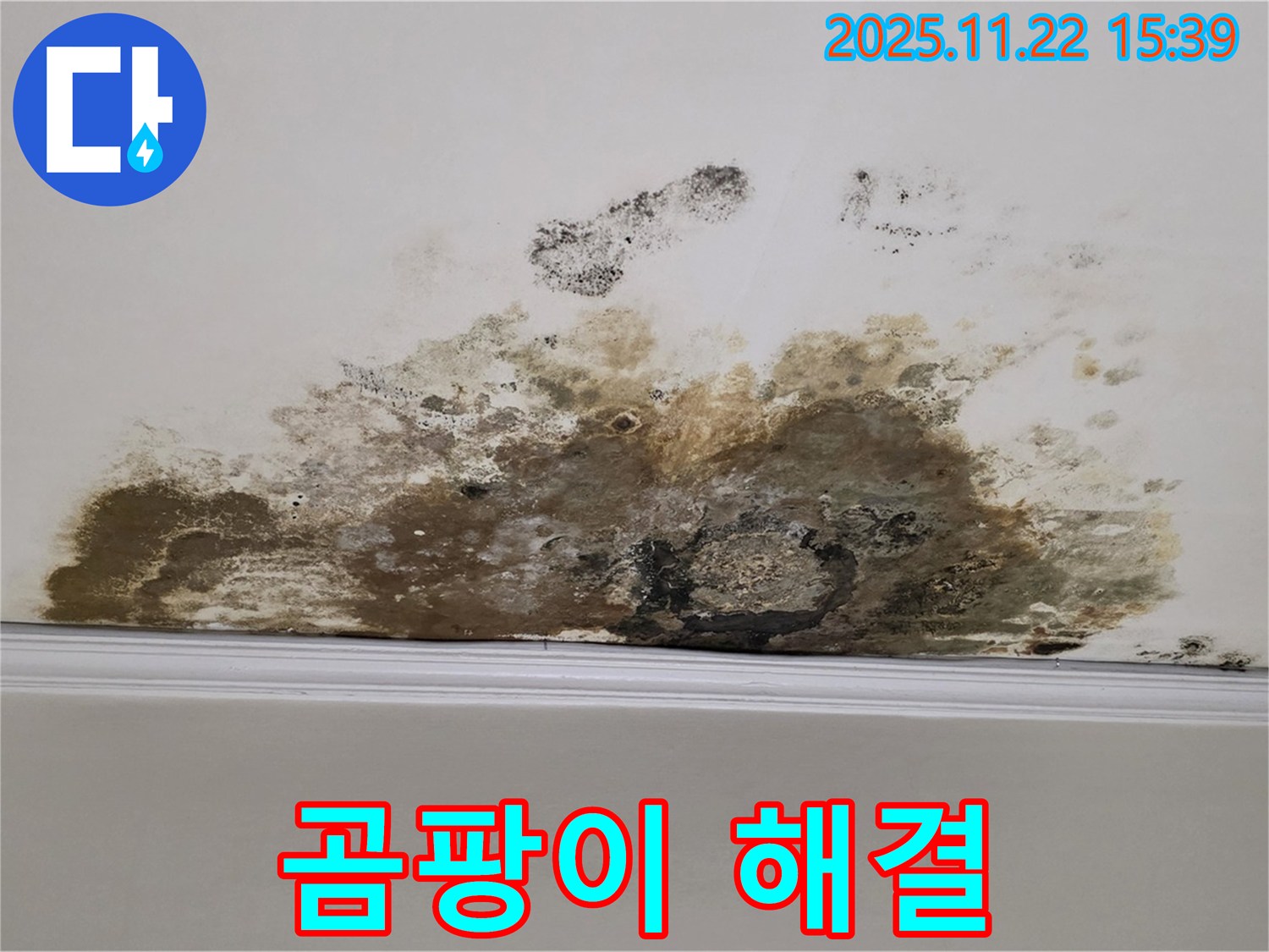 마포 용강동 아파트 누수 - 곰팡이 문제 완벽 해결, 쾌적하고 건강한 공간으로 탈바꿈