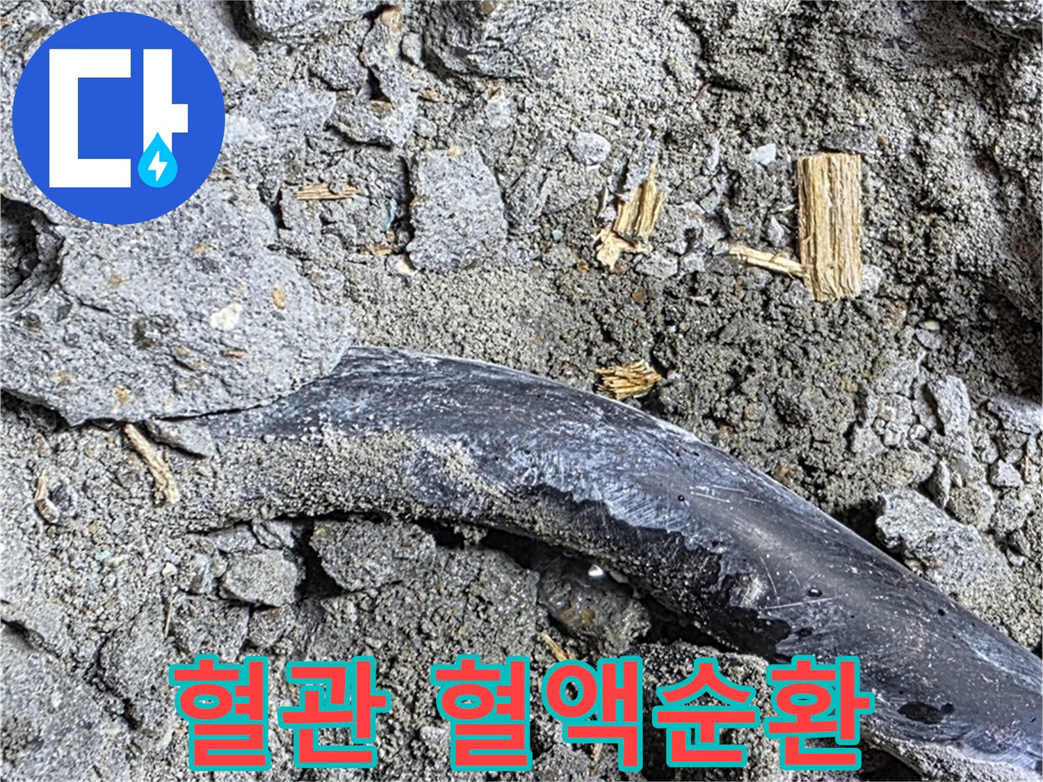 마포구 누수 현장 - 콘크리트 속 낡은 배관의 멈춰버린 혈관을 뚫기 위해 누수 혈액순환 프로젝트를 시작합니다.