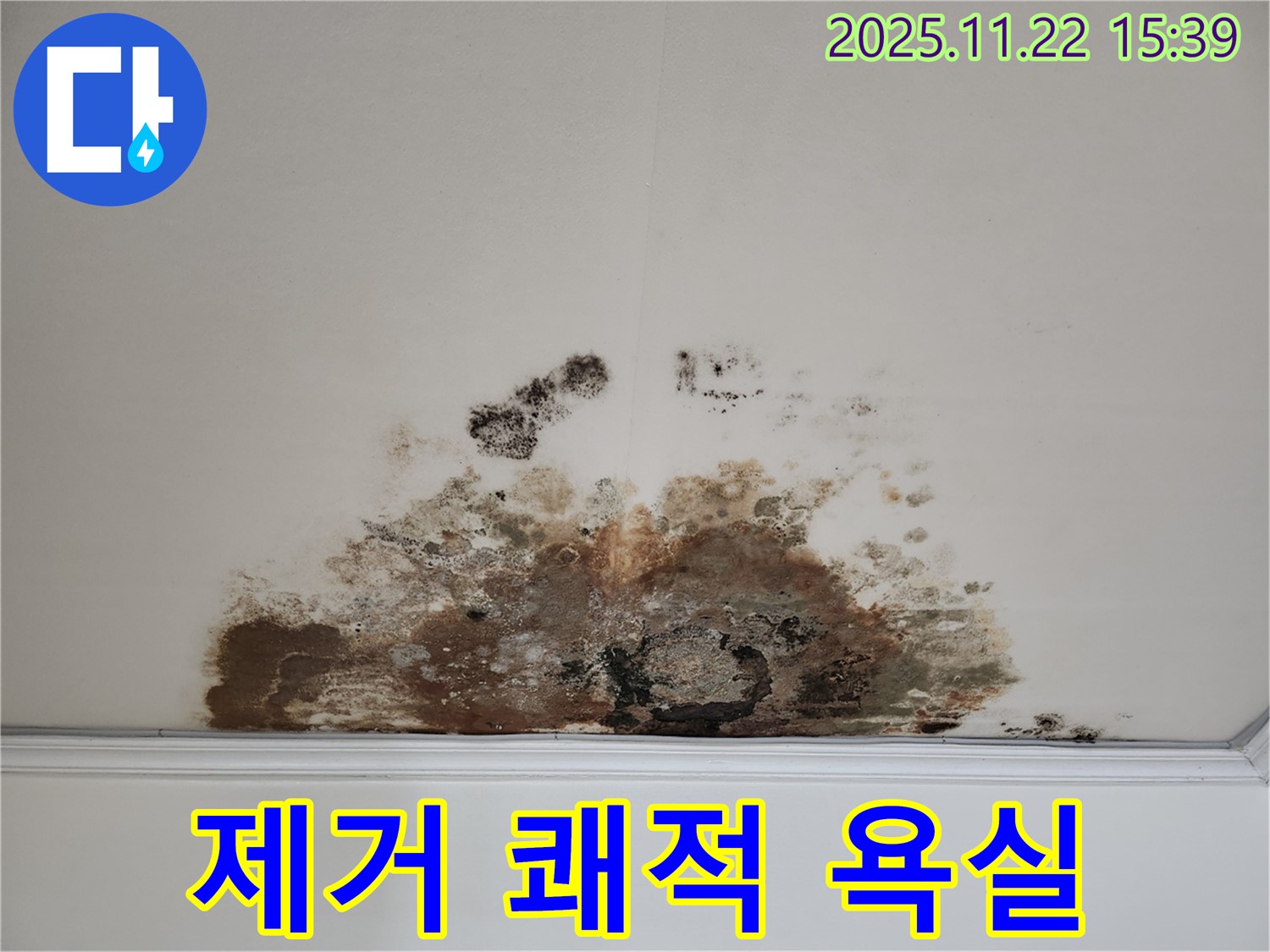 마포구 새창로 아파트 - 곰팡이 천장, 곰팡이 제거, 쾌적한 욕실 환경 조성