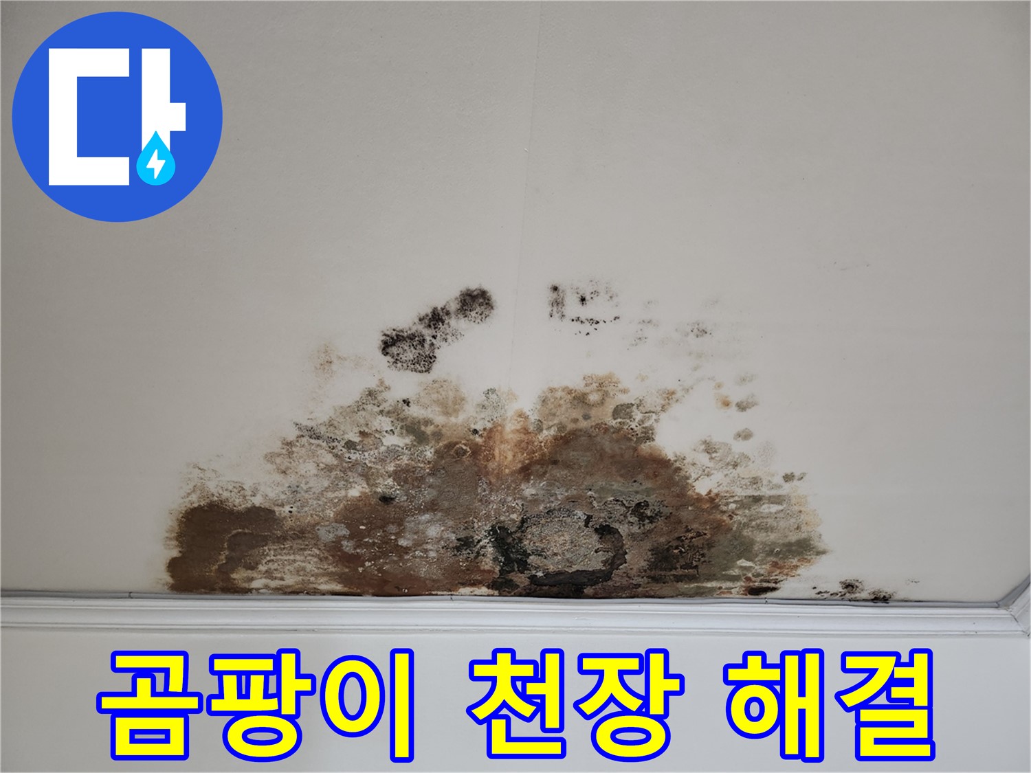 마포구 아파트 천장 누수 - 곰팡이 완벽 해결 비법 전수