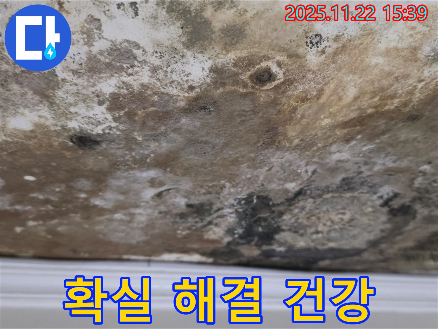 마포구 용강동 - 곰팡이 천장, 확실하게 해결, 건강하고 쾌적한 보금자리 완성!