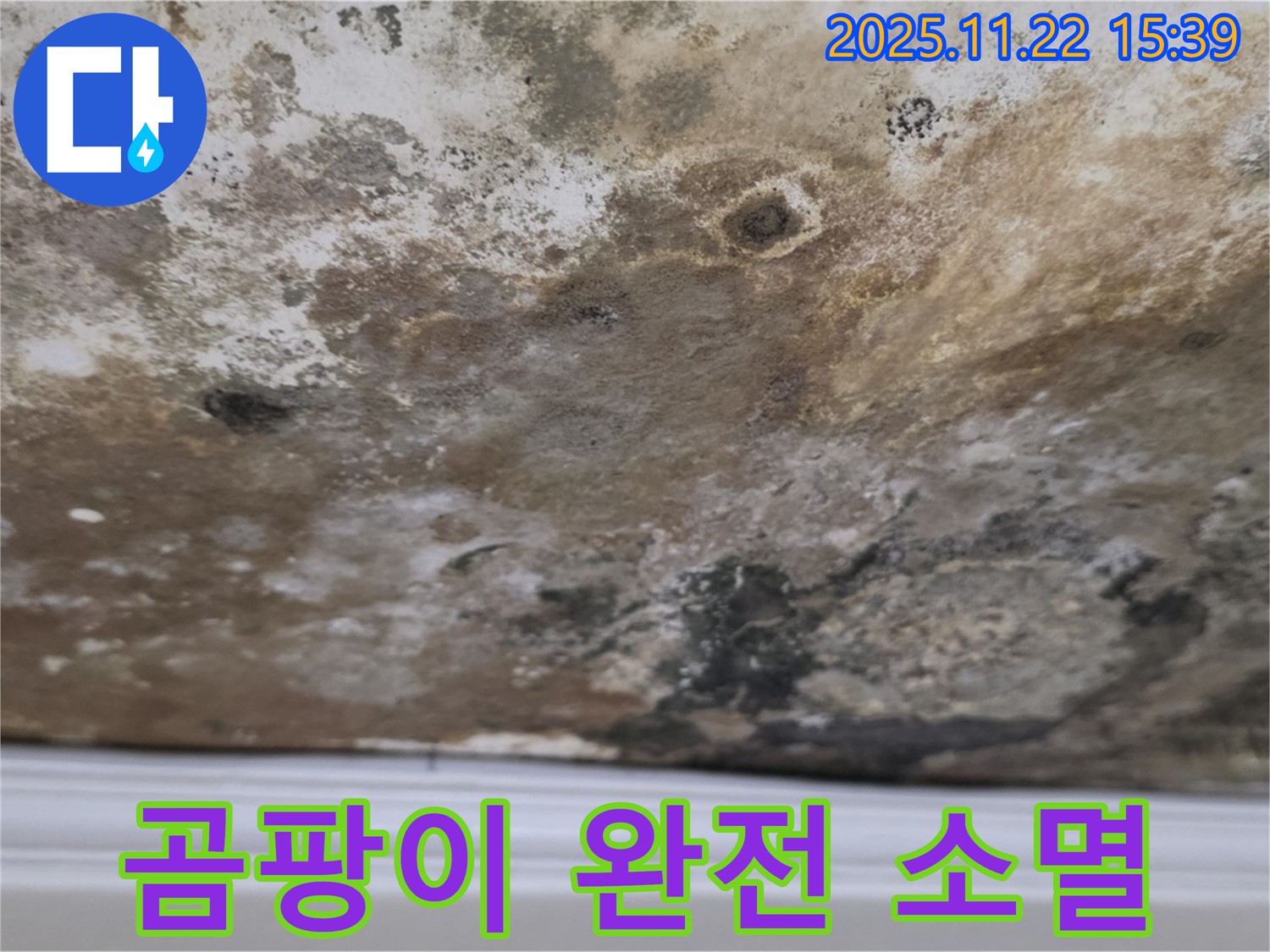 마포구 용강동 누수 - 곰팡이 완전 소멸, 상쾌하고 건강한 천장 리턴즈!