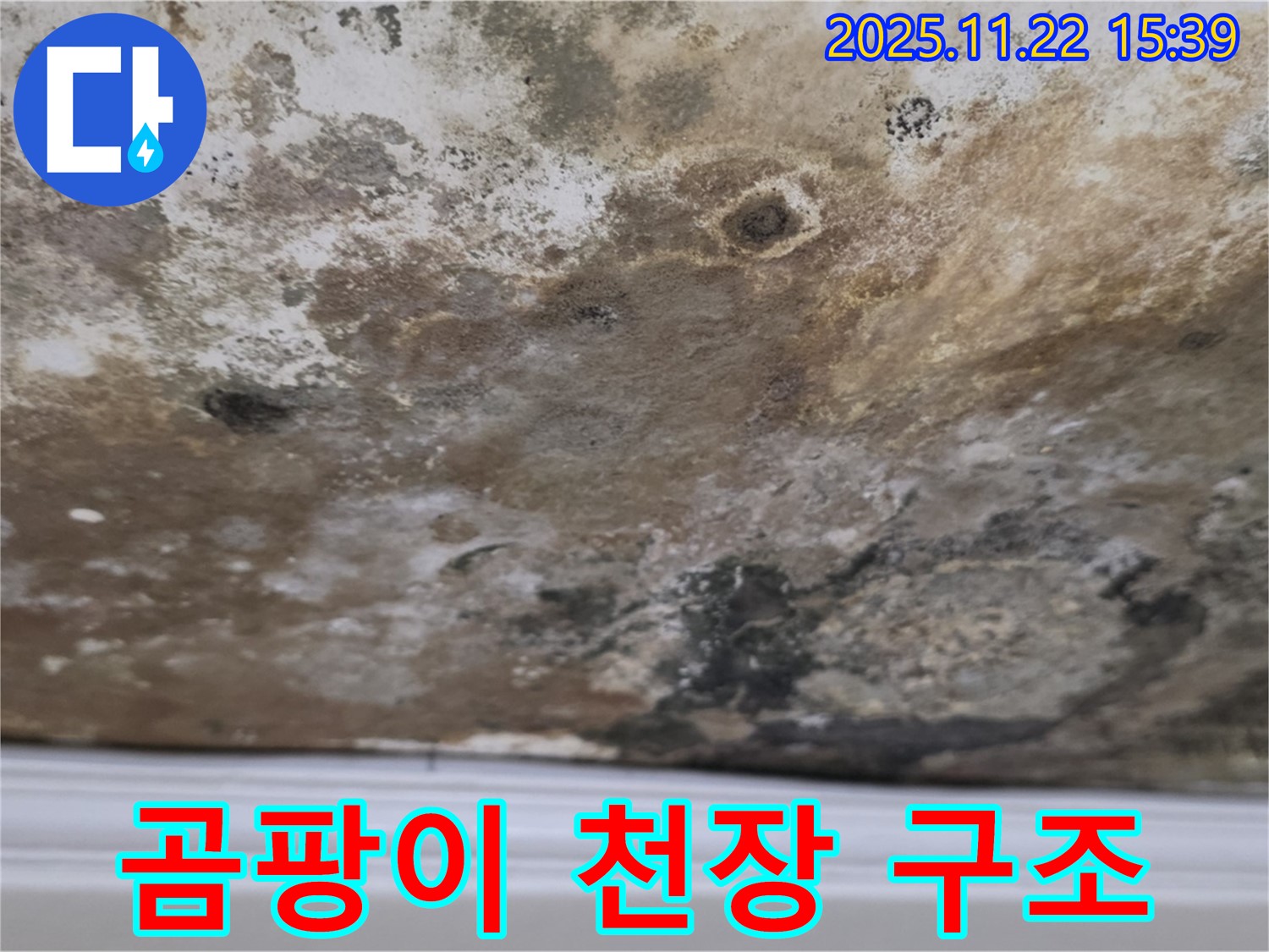 마포구 용강동 누수 - 곰팡이 완전 점령, 천장 구조 대작전!