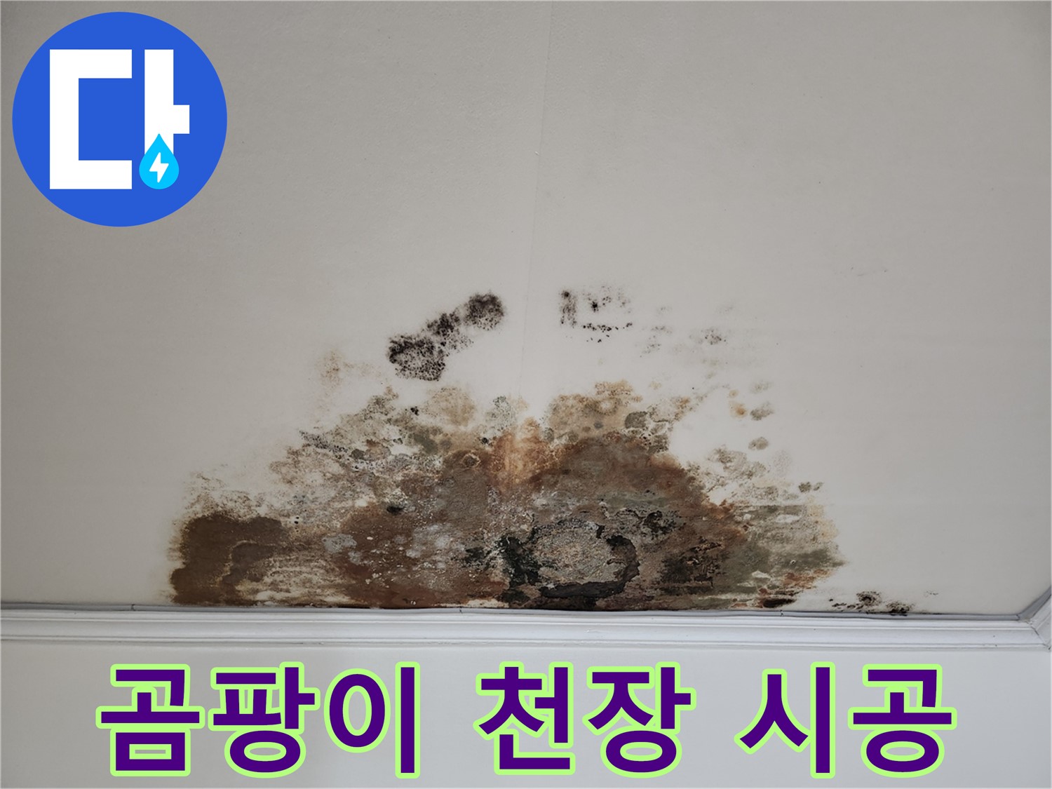 마포구 용강동 누수, 곰팡이 천장 - 숙련된 기술, 완벽한 시공