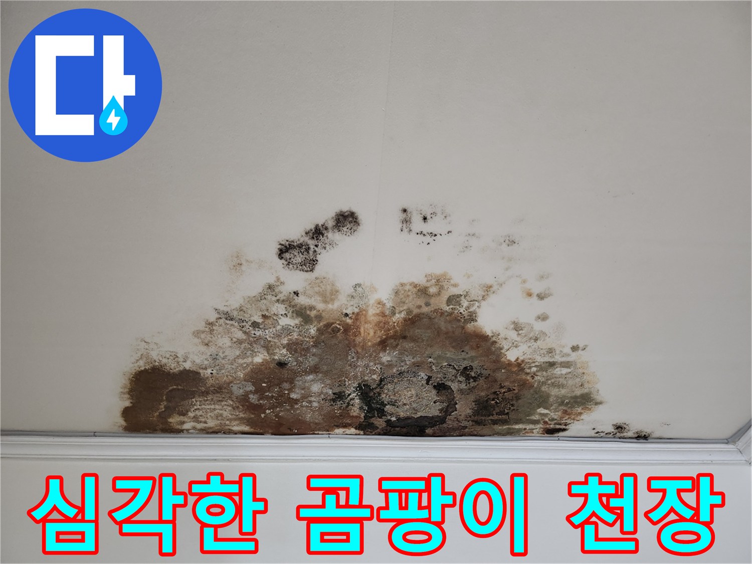 마포구 용강동 누수 - 곰팡이로 뒤덮인 천장의 원인을 찾고 완벽하게 해결