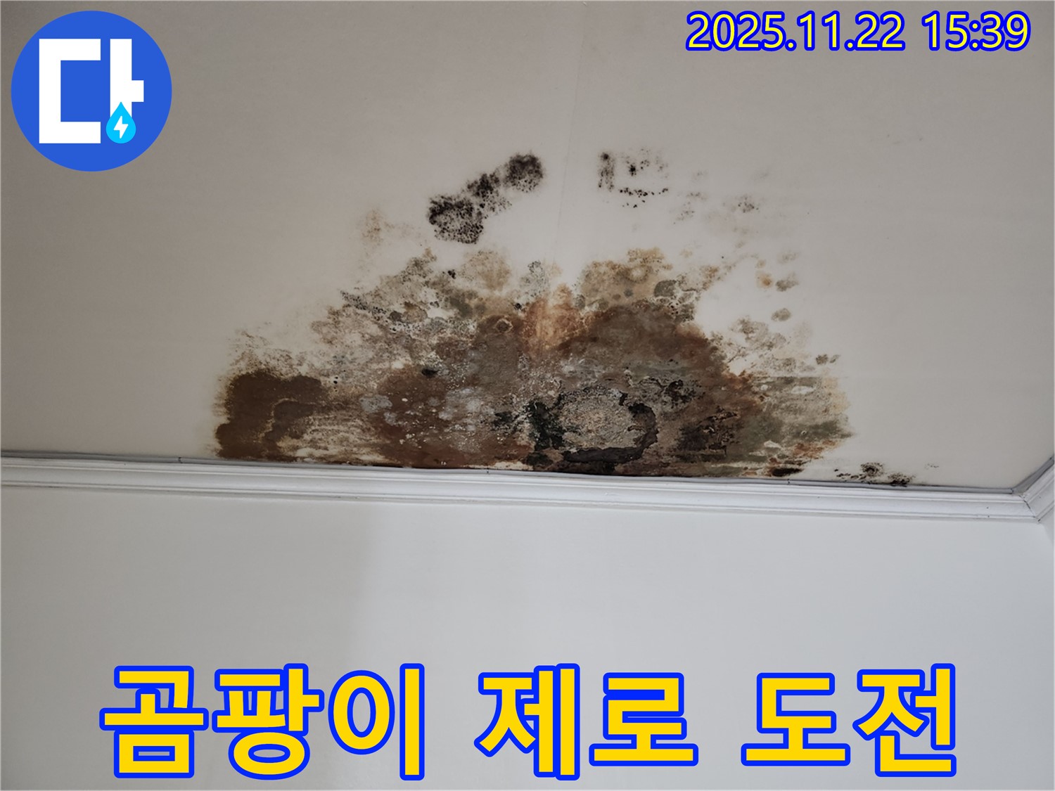 마포구 용강동 새창로8길 누수 - 곰팡이 제로, 현대홈타운 쾌적한 보금자리