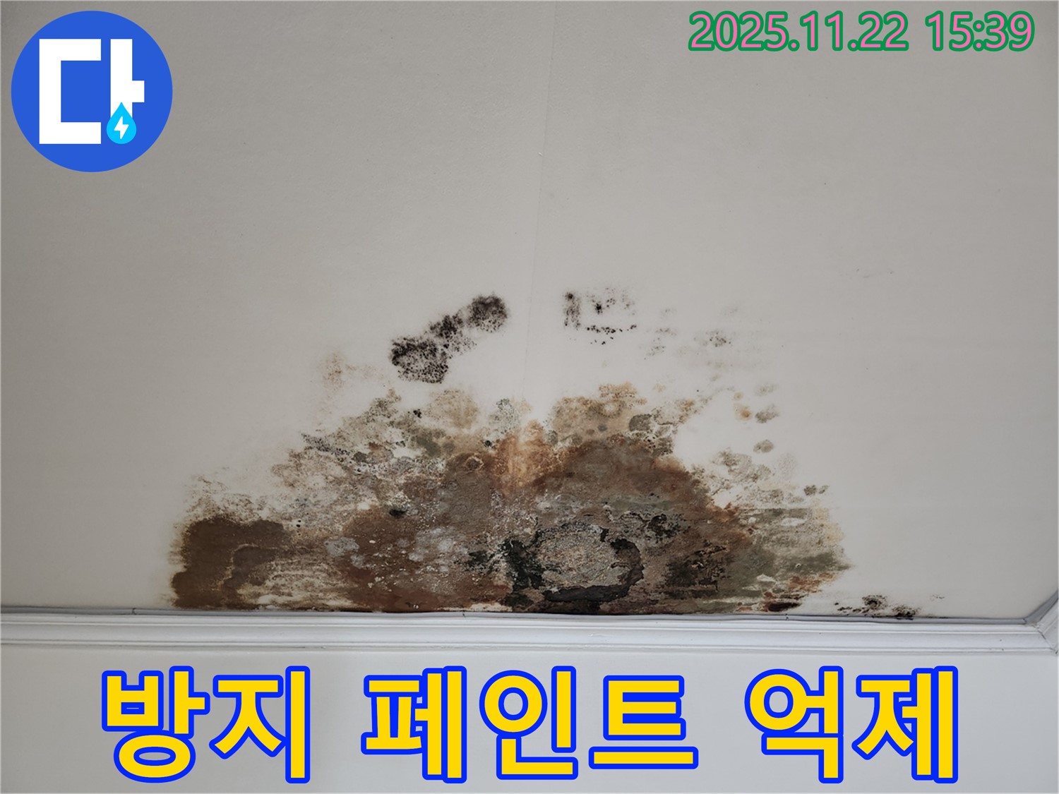 마포구 용강동 아파트 - 곰팡이 누수, 곰팡이 방지 페인트 시공! 곰팡이 억제 효과!