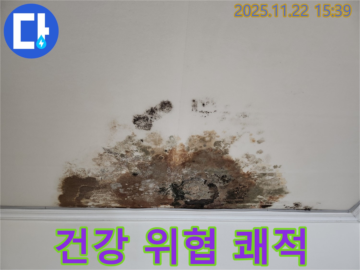 마포구 용강동 아파트 - 곰팡이 천장, 건강 위협! 쾌적한 공간으로 되돌리기!