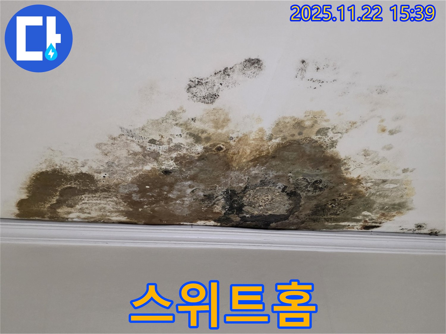 마포구 용강동 아파트 누수 - 곰팡이 완전 박멸 성공, 누수 해결로 되찾은 깨끗한 스위트홈!