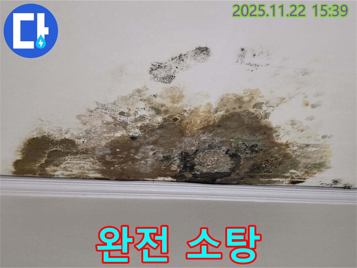 마포구 용강동 아파트 누수 - 곰팡이 완전 소탕, 깨끗한 우리집에서 행복 시작!