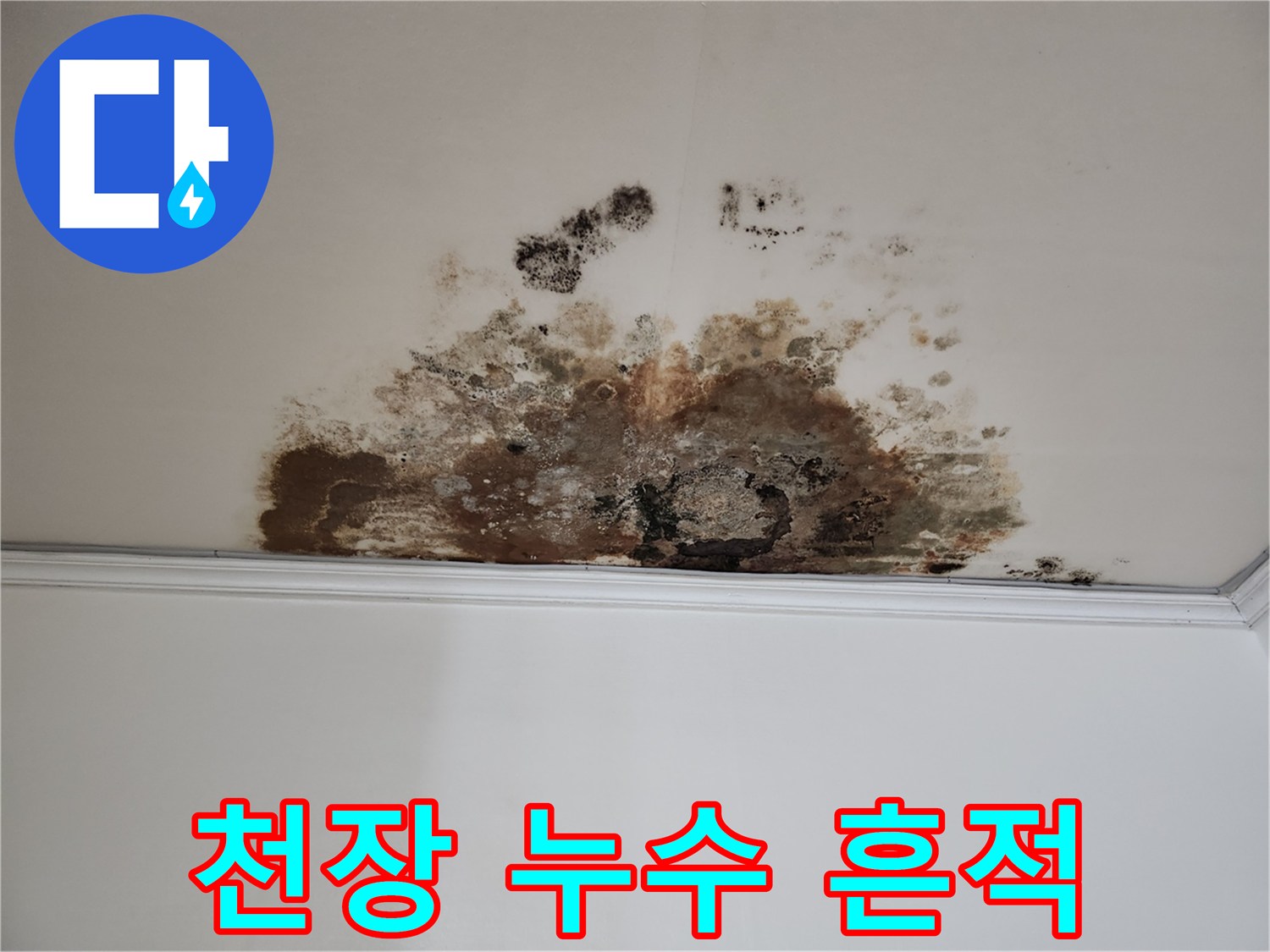 마포구 용강동 아파트 천장 누수 - 심각한 물자국과 곰팡이 발생