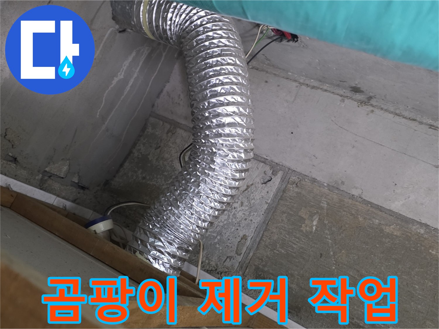 마포구 용강동 현대홈타운 누수 점검 - 욕실 환풍기 배관 주변 곰팡이 제거 작업 중