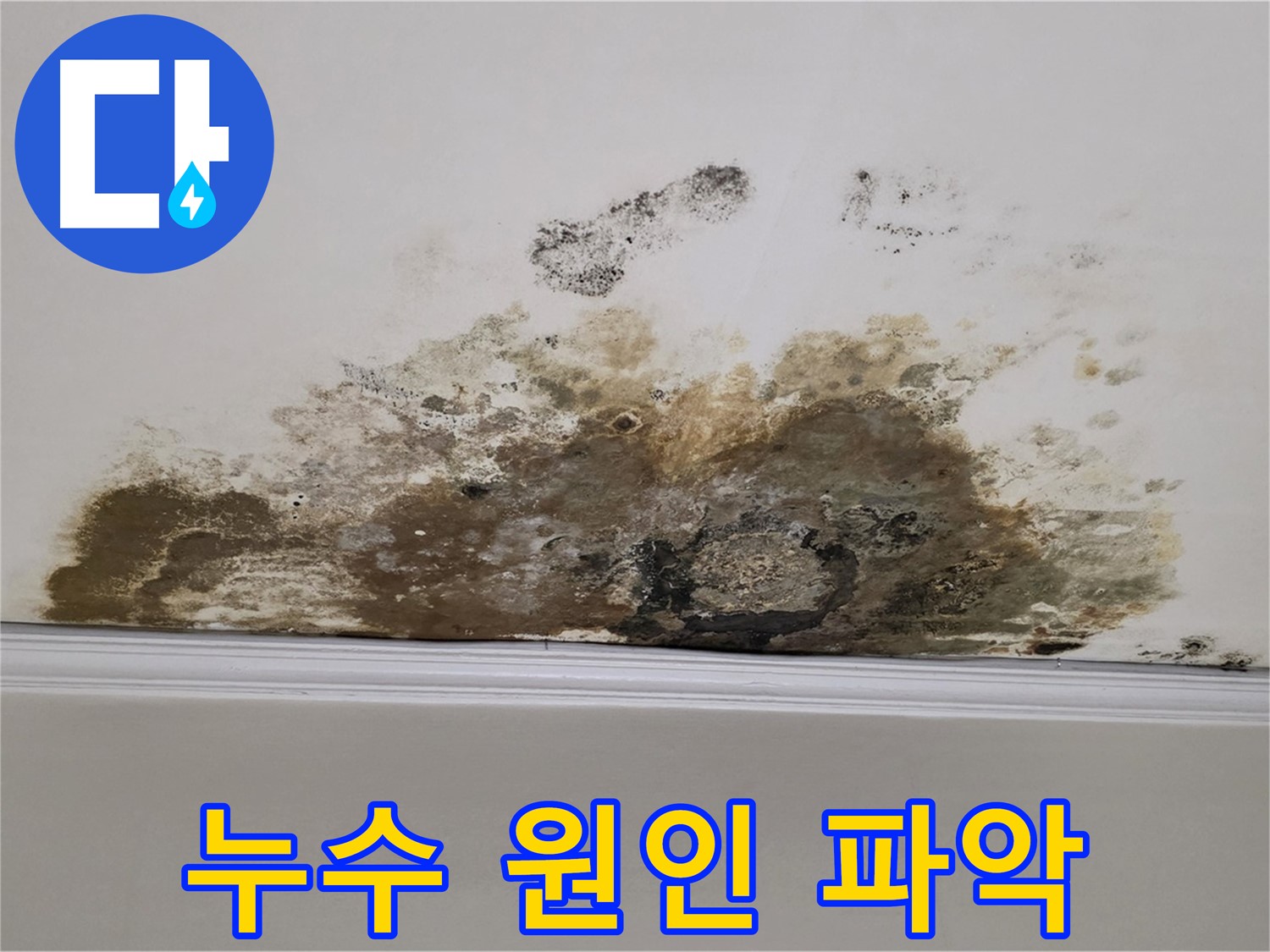 마포구 용강동 현대홈타운 아파트 - 곰팡이 - 곰팡이 제거 전 정확한 누수 원인 파악