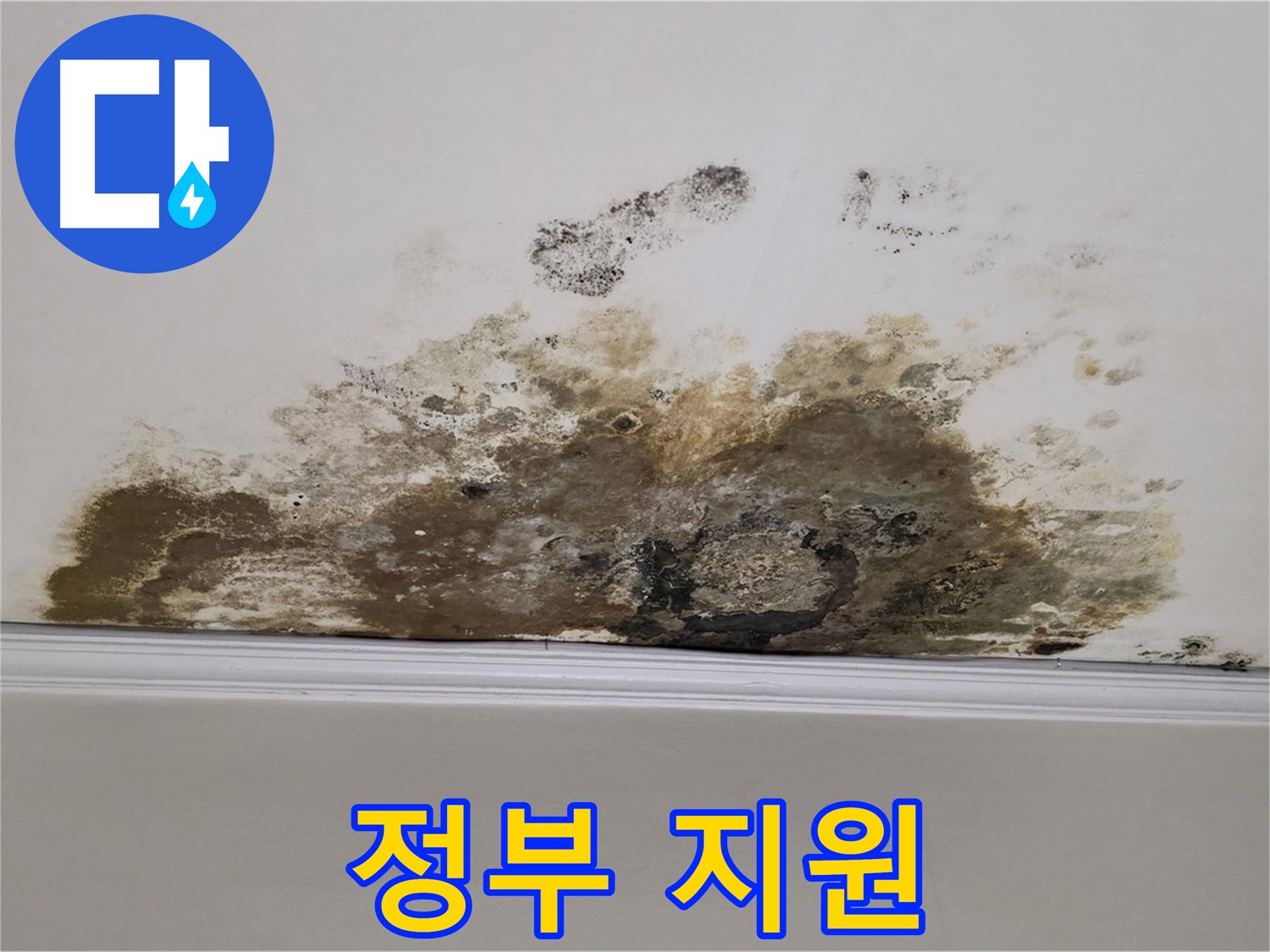 마포구 용강동 현대홈타운 아파트 - 곰팡이 - 곰팡이 제거 - 정부 지원 받을 수 있나요?