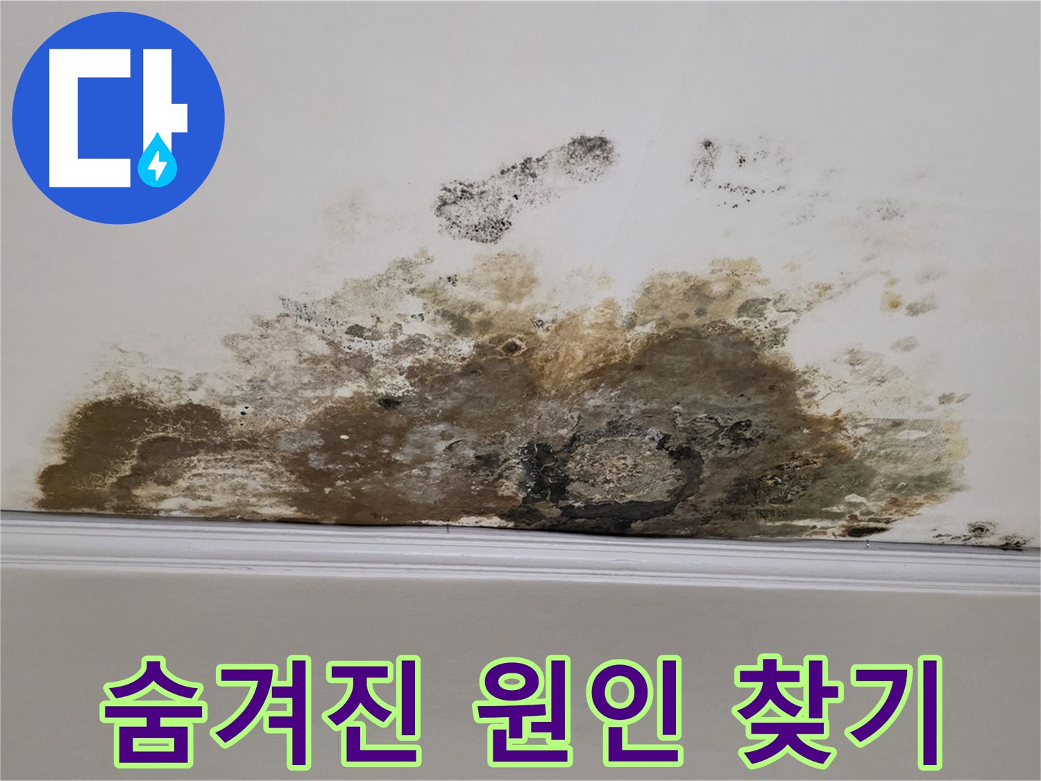 마포구 용강동 현대홈타운 아파트 - 곰팡이 천장 - 숨겨진 누수 원인 찾기