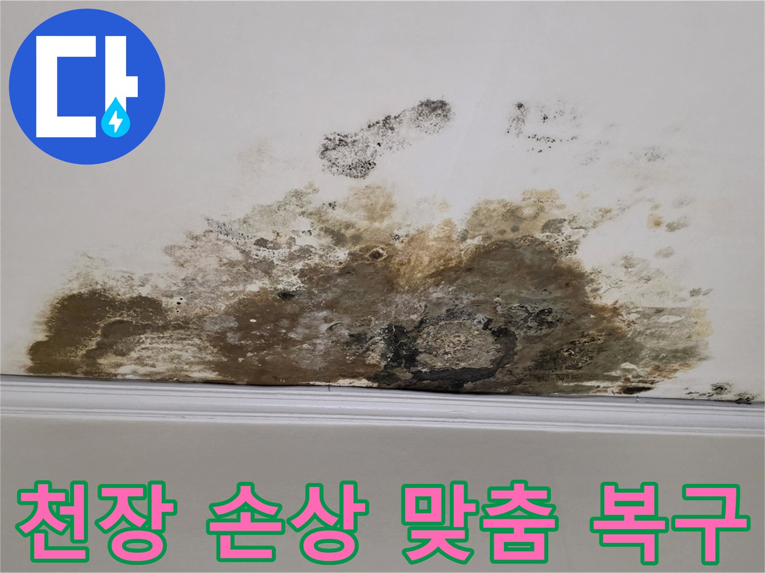 마포구 용강동 현대홈타운 아파트 - 곰팡이로 인한 천장 손상 긴급 진단 및 맞춤 복구 솔루션 완벽 제공
