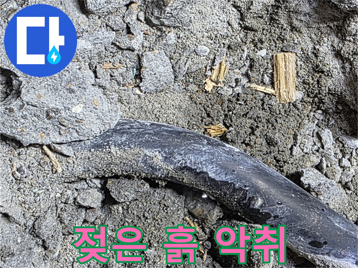 마포구 용강동 현대홈타운 - 젖은 흙과 악취 - 오염 및 누수 진행