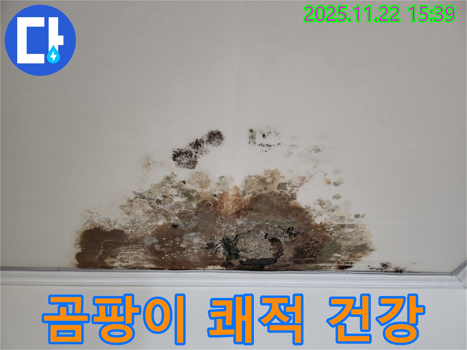 새창로 현대홈타운 아파트 - 곰팡이 천장, 쾌적한 환경에서 건강한 생활을