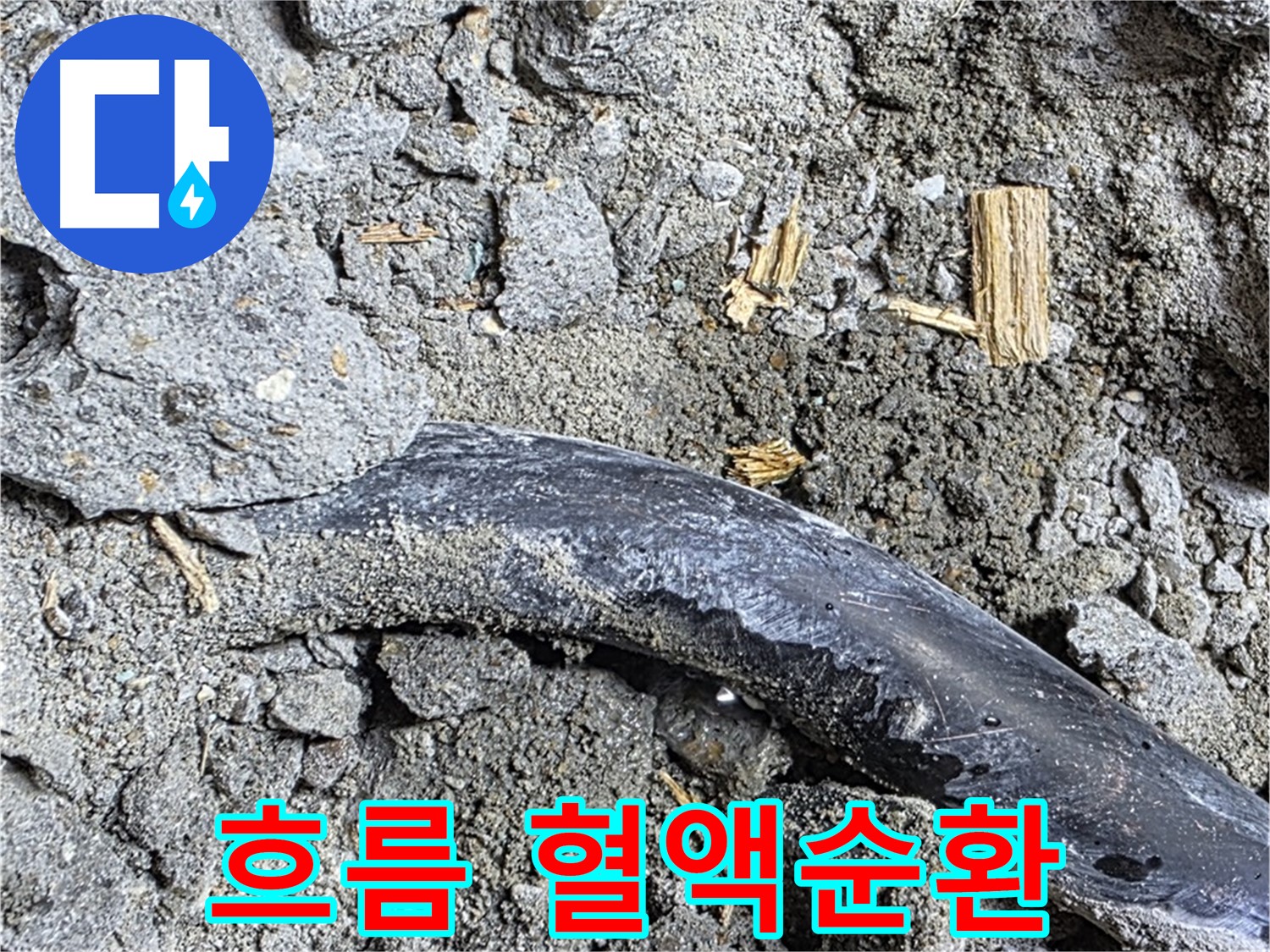 마포구 용강동 현대홈타운 - 젖은 시멘트 - 누수 진행 중 의심