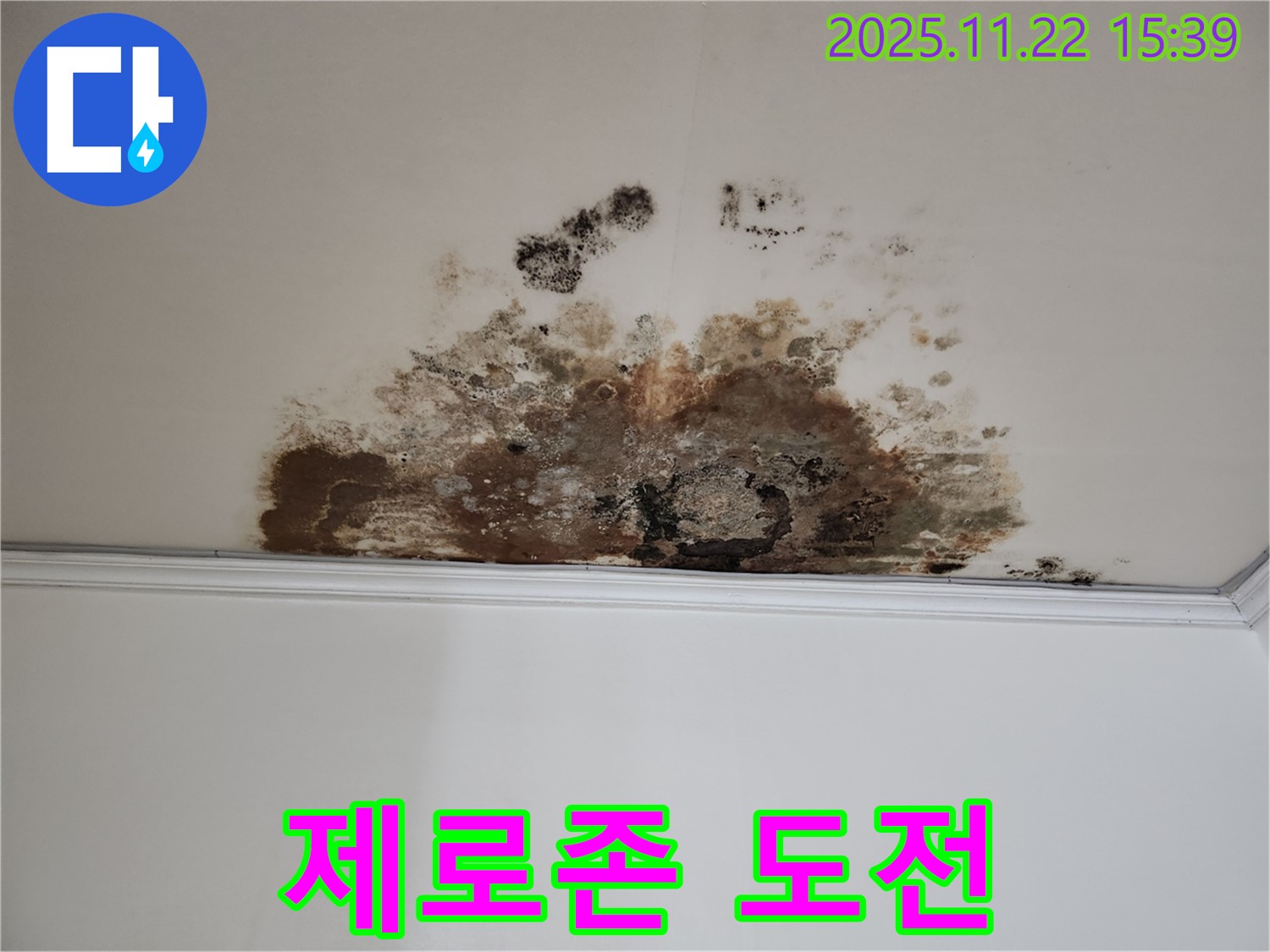 용강동 새창로8길 누수 - 곰팡이 제로존 도전, 현대홈타운 깨끗한 집